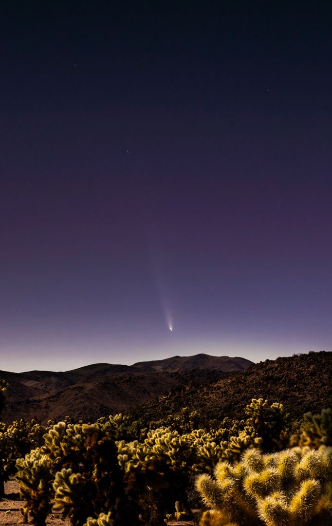 Community photo entitled The passage of time by Joseph Kwong on 10/12/2024 at Cholla Cactus Garden - Joshua Tree National Park