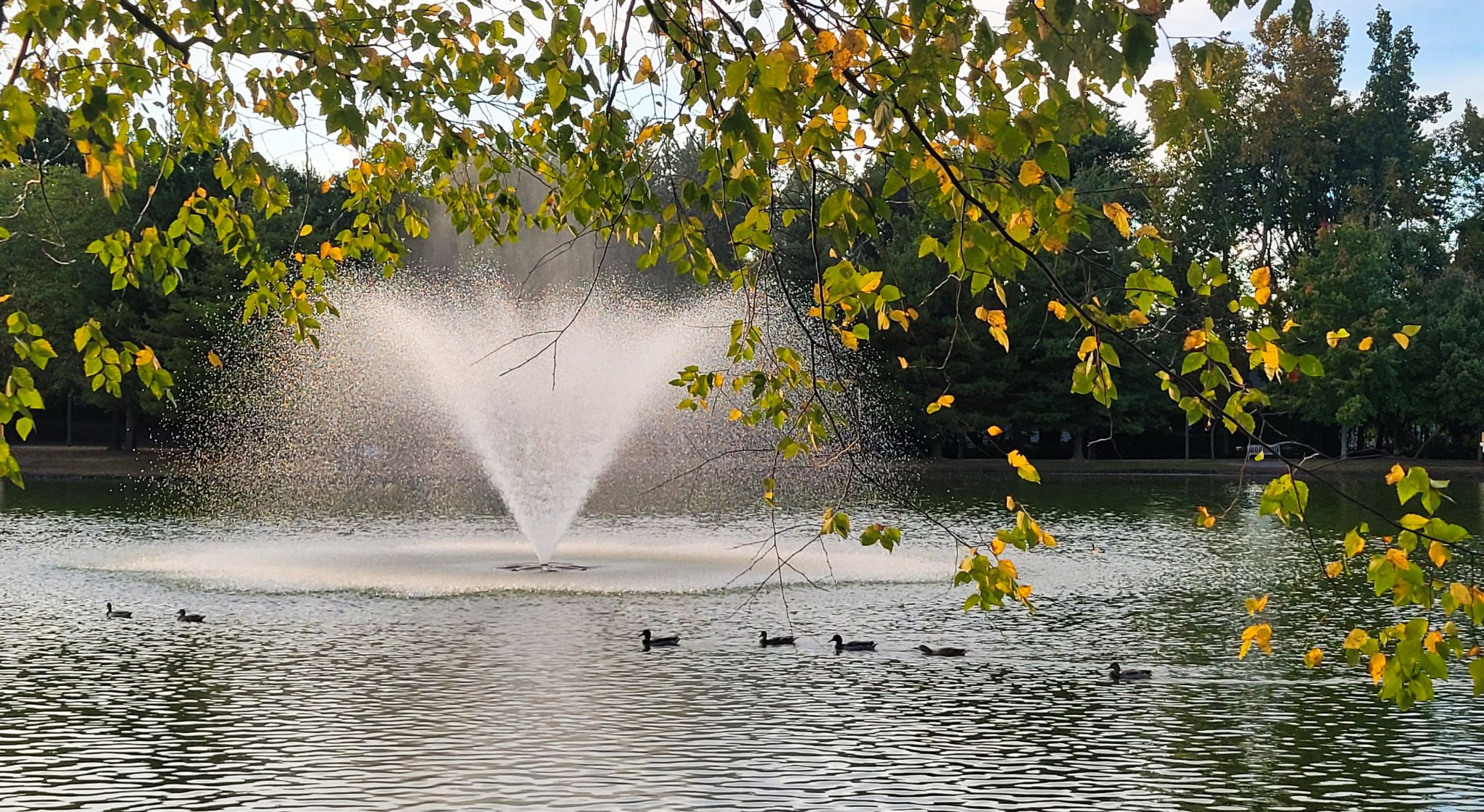 Community photo entitled Welcome October by Lorraine Boyd on 10/01/2024 at Colonie, New York