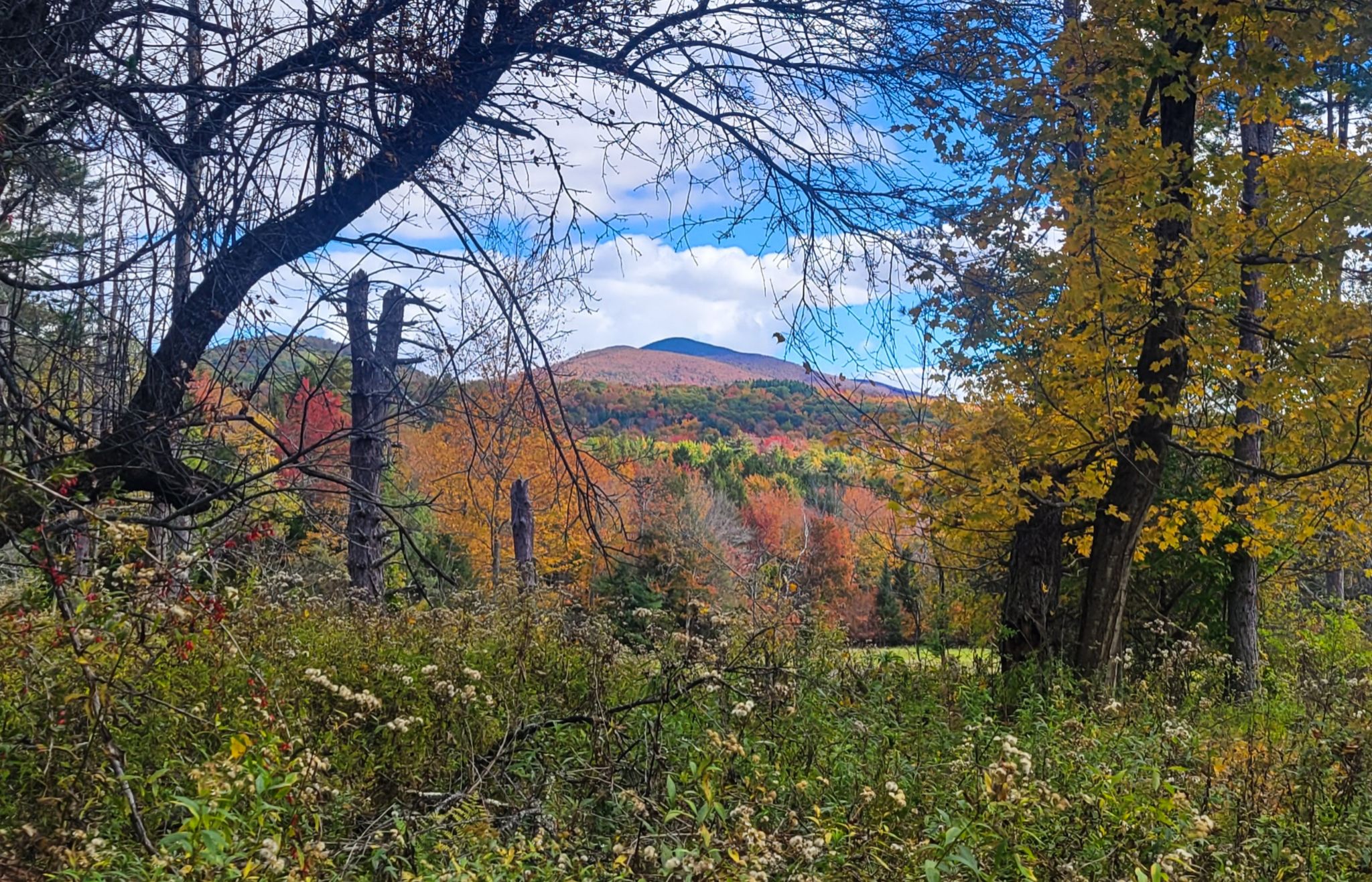 Community photo entitled Catskill Mountains by Lorraine Boyd on 10/03/2024 at Catskill Mountains, New York