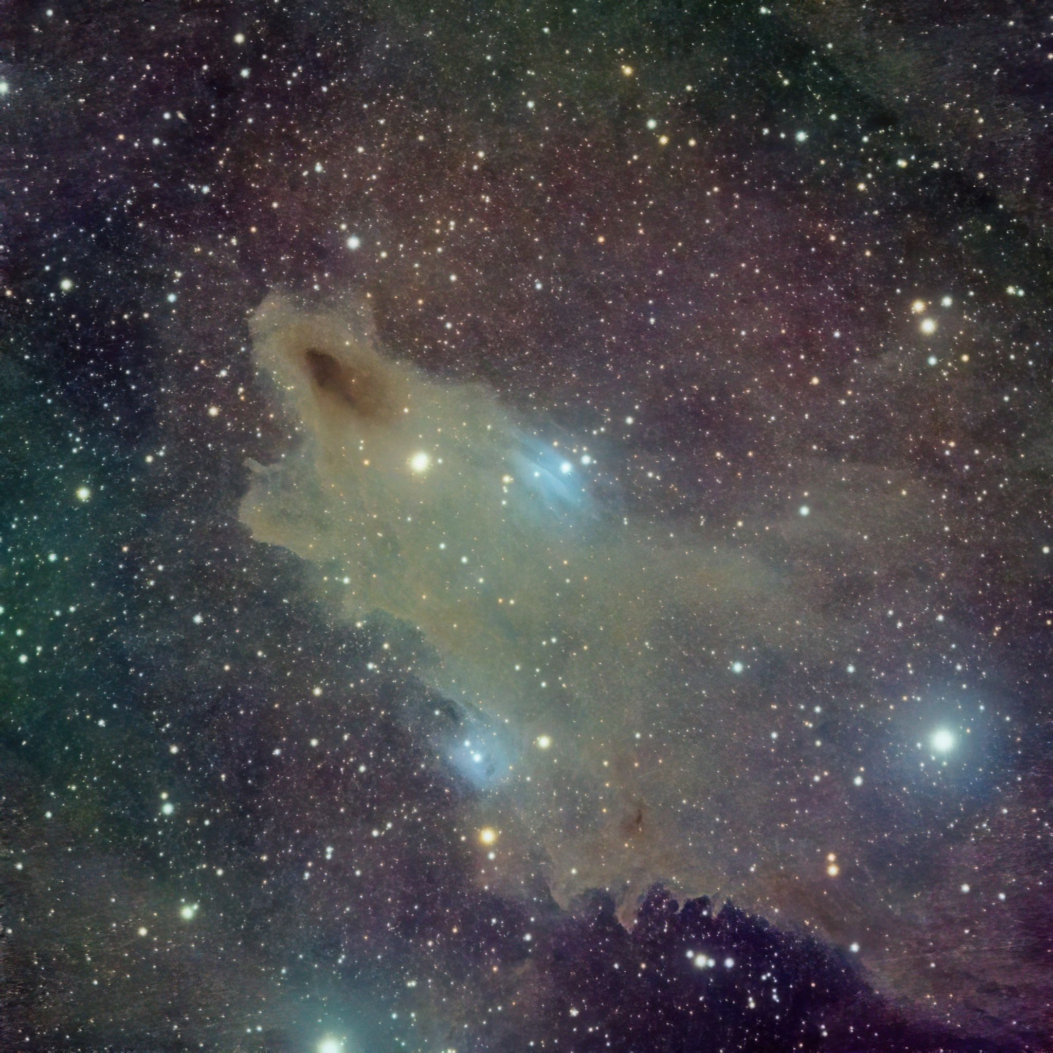 Community photo entitled Dark Shark Nebula by Kris Hazelbaker on 10/07/2024 at Grangeville, Idaho, USA