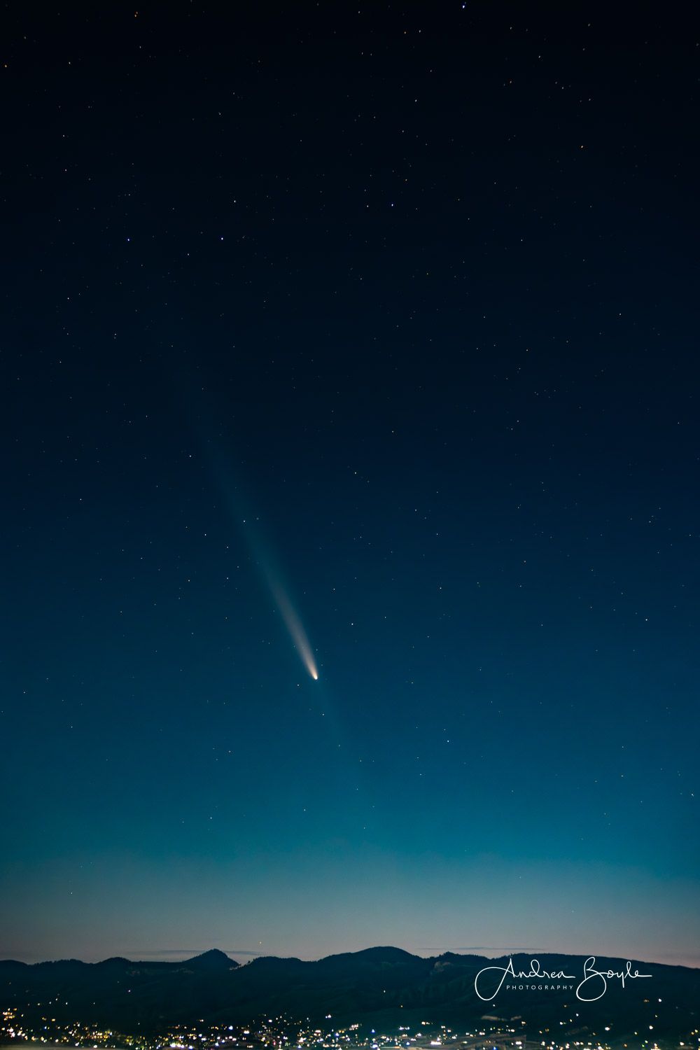 Community photo entitled "Rogue Visitor" (Our valley is called the Rogue Valley after the river running through it) by Andrea Boyle on 10/14/2024 at Medford, Oregon