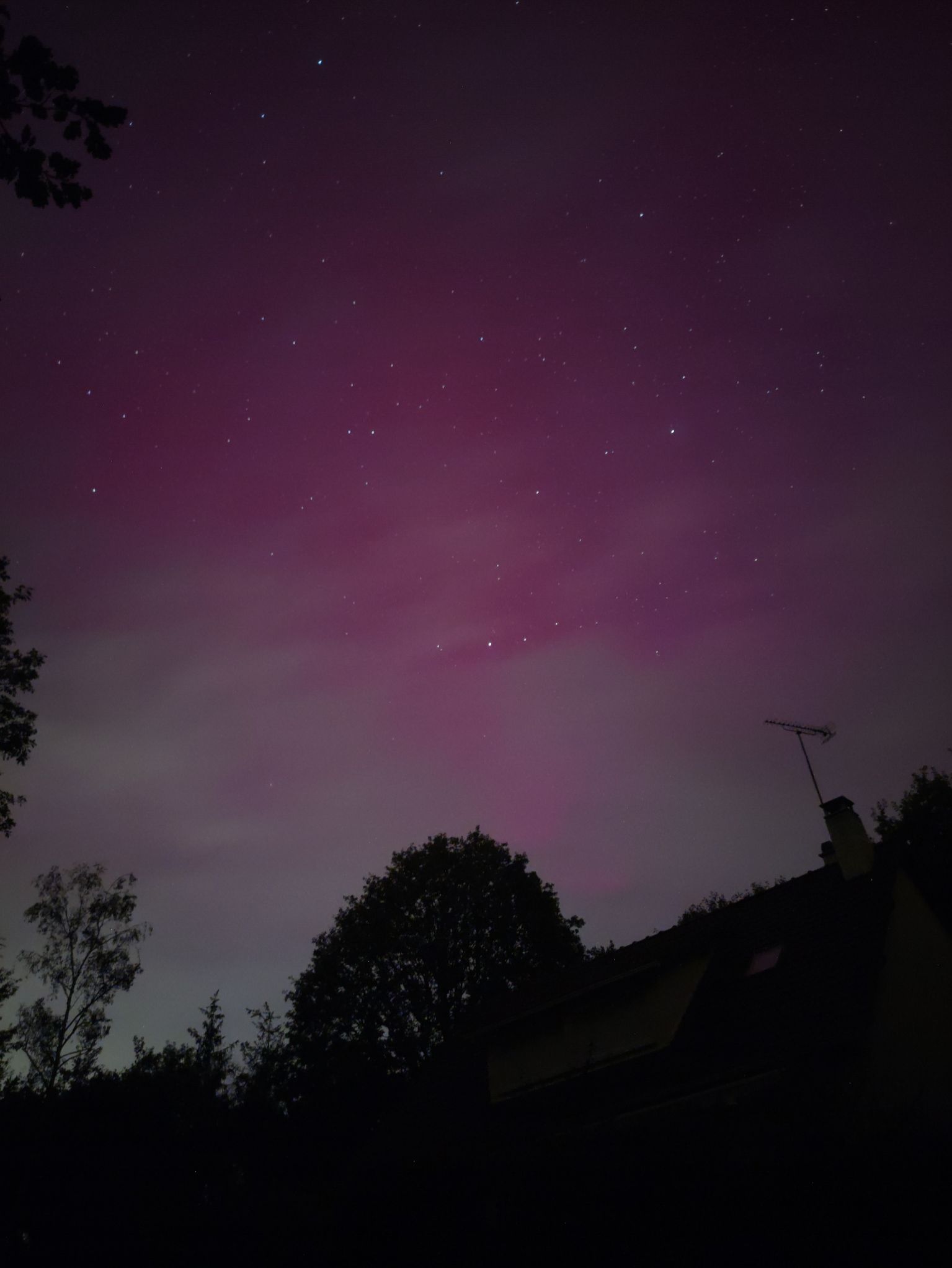 Community photo entitled Aurore imperceptible à Chaudon by Dario PIECK on 10/10/2024 at Chaudon, France