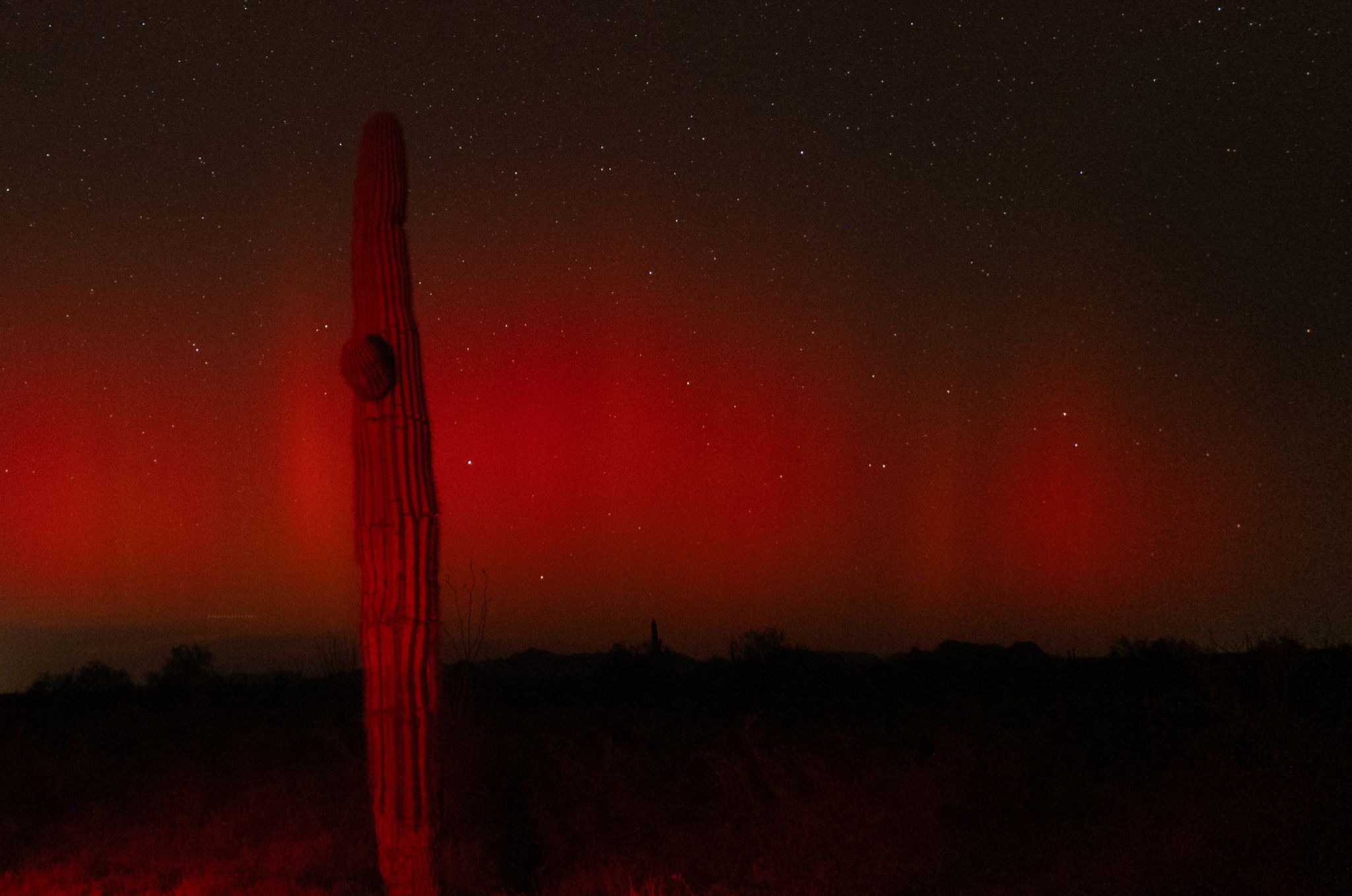 Community photo entitled Rare Southern Arizona Aurora Borealis! by Betsy Burke on 10/11/2024 at Kofa N.W.R., AZ