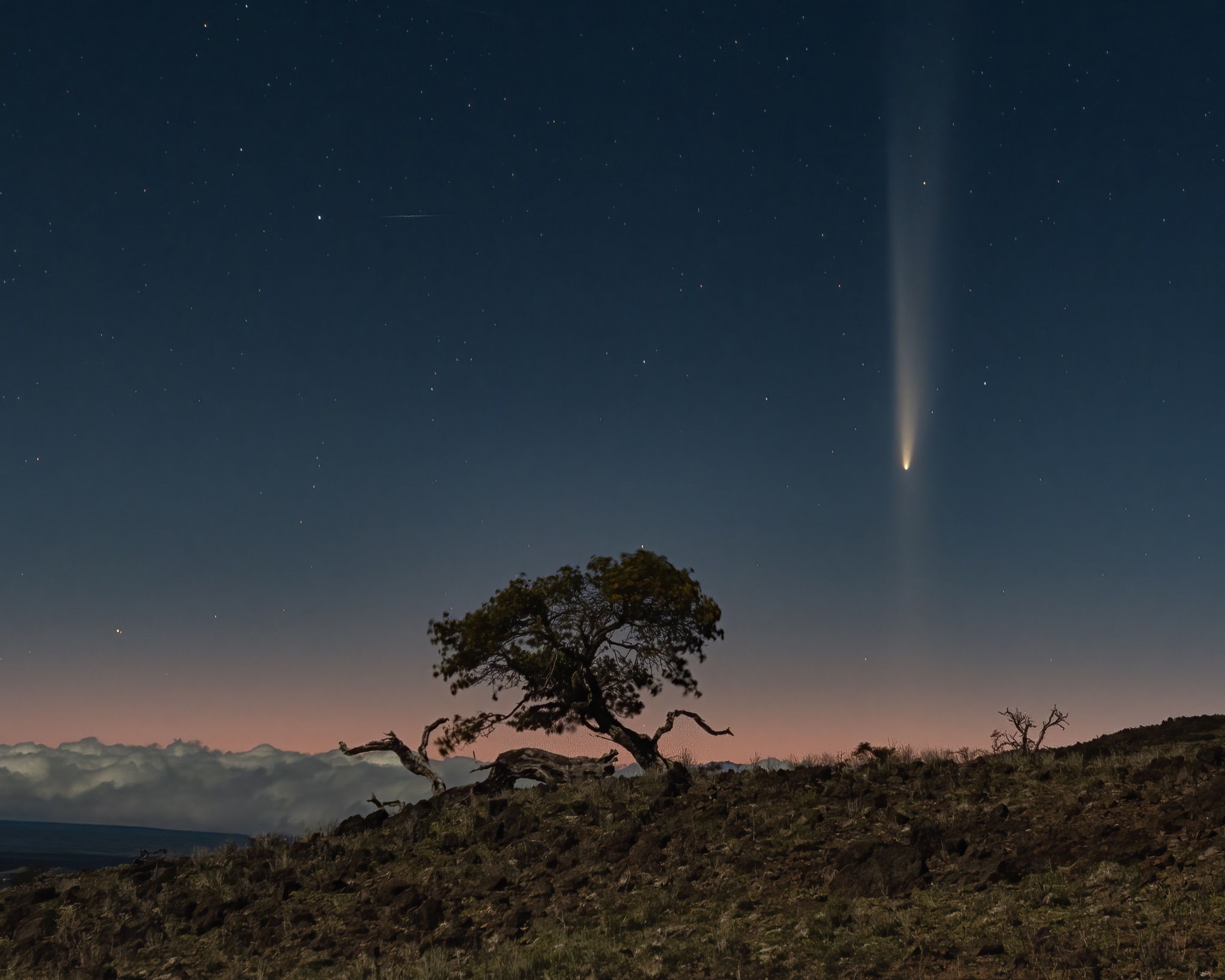 Community photo entitled C/2023 A3 with an anti tail by Tina Clothier on 10/13/2024 at Mauna Kea, Hawaii