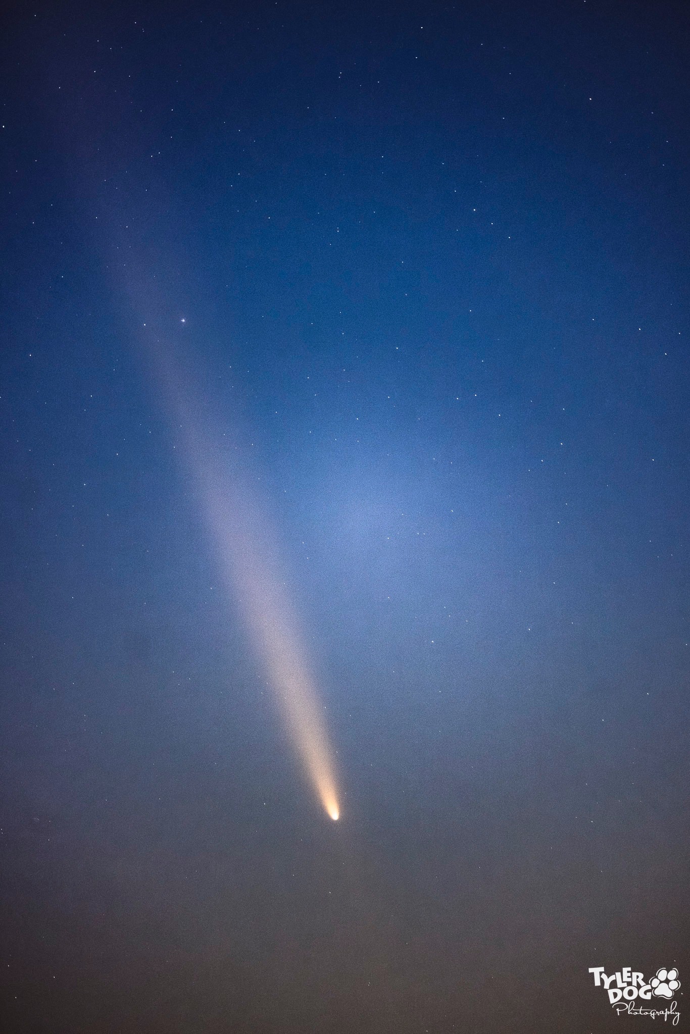 Community photo entitled Little Comet on the Prairie by Sherry Stinson on 10/14/2024 at Bartlesville OK USA