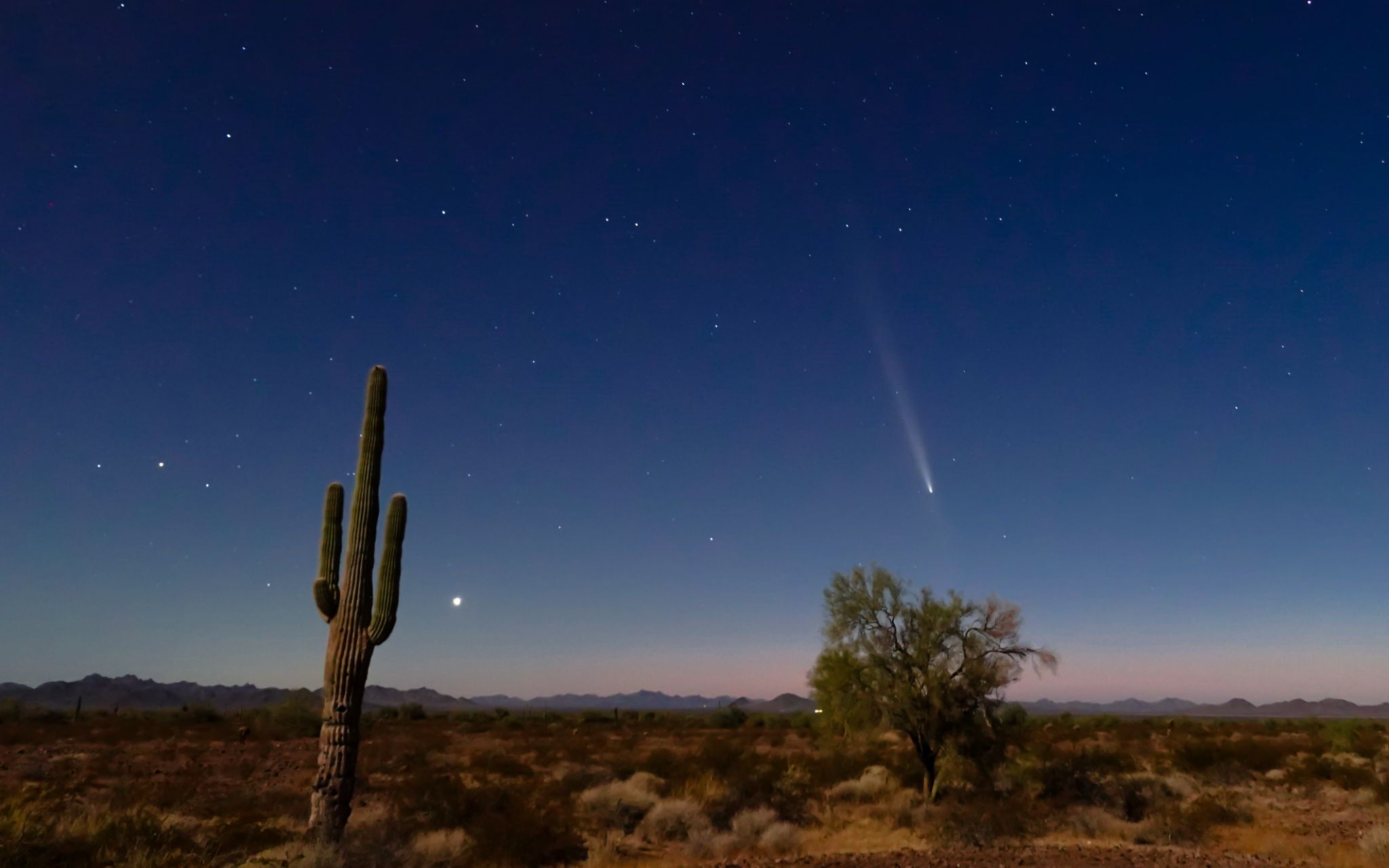 Community photo entitled Comet C/2023 A3 Tsuchinshan-ATLAS and Venus by Betsy Burke on 10/14/2024 at Kofa N.W.R., AZ, U.S.A.