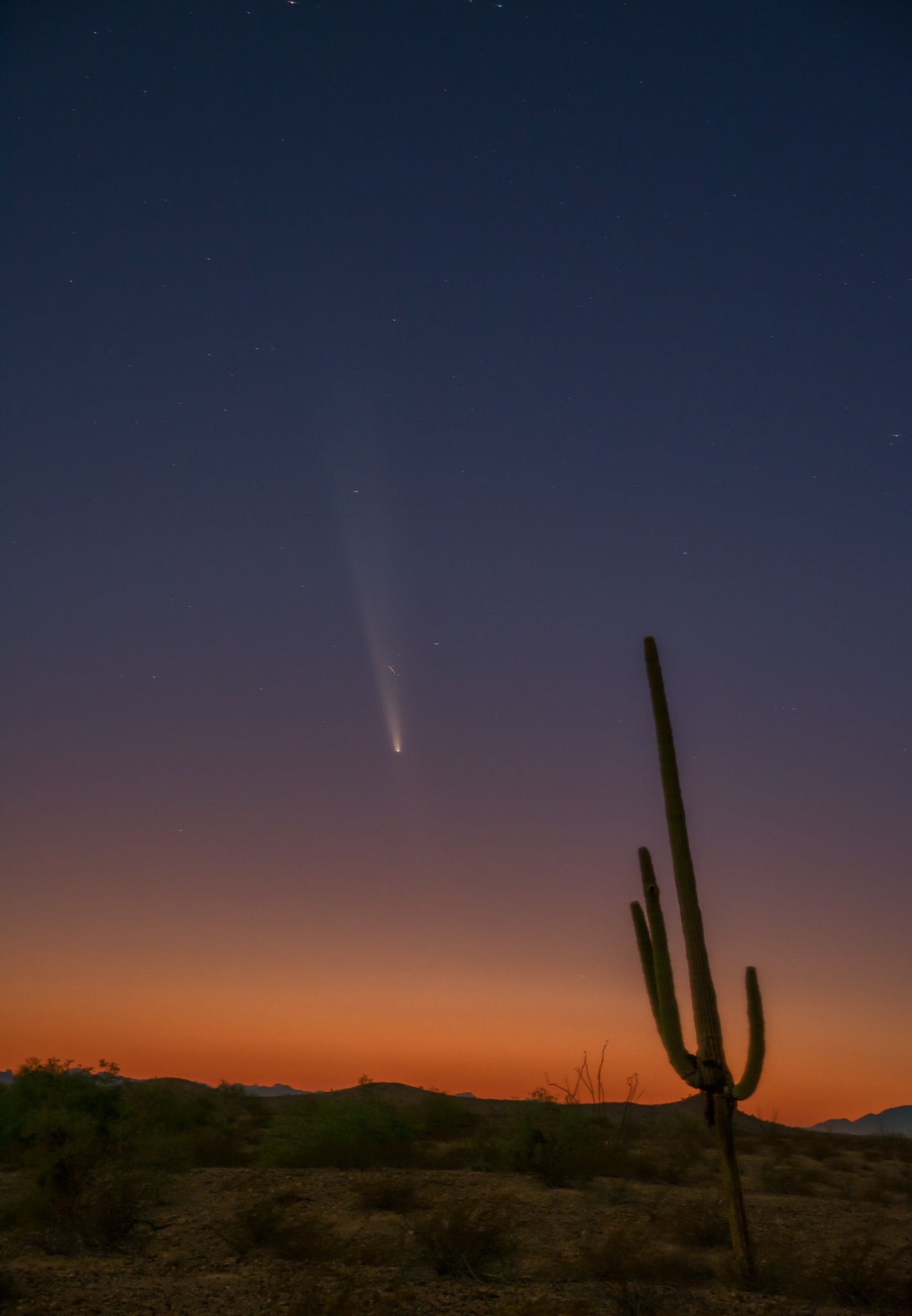 Community photo entitled A3 comet with leaning cactus by Bob Kuo on 10/13/2024 at Buckeye, Arizona, USA