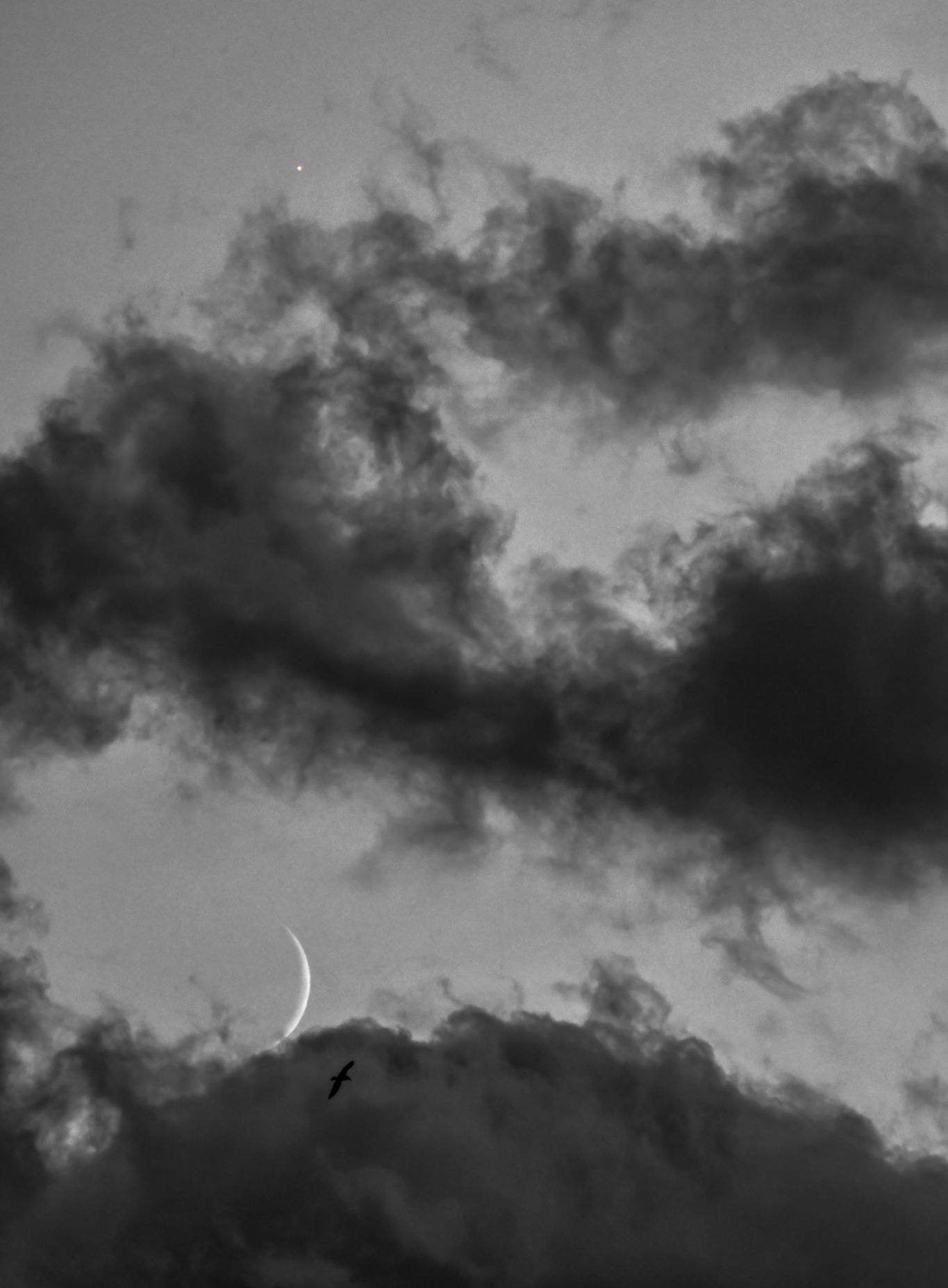 Community photo entitled Venus and Moon by Teresa Molinaro on 10/05/2024 at Bagheria, Sicily, Italy