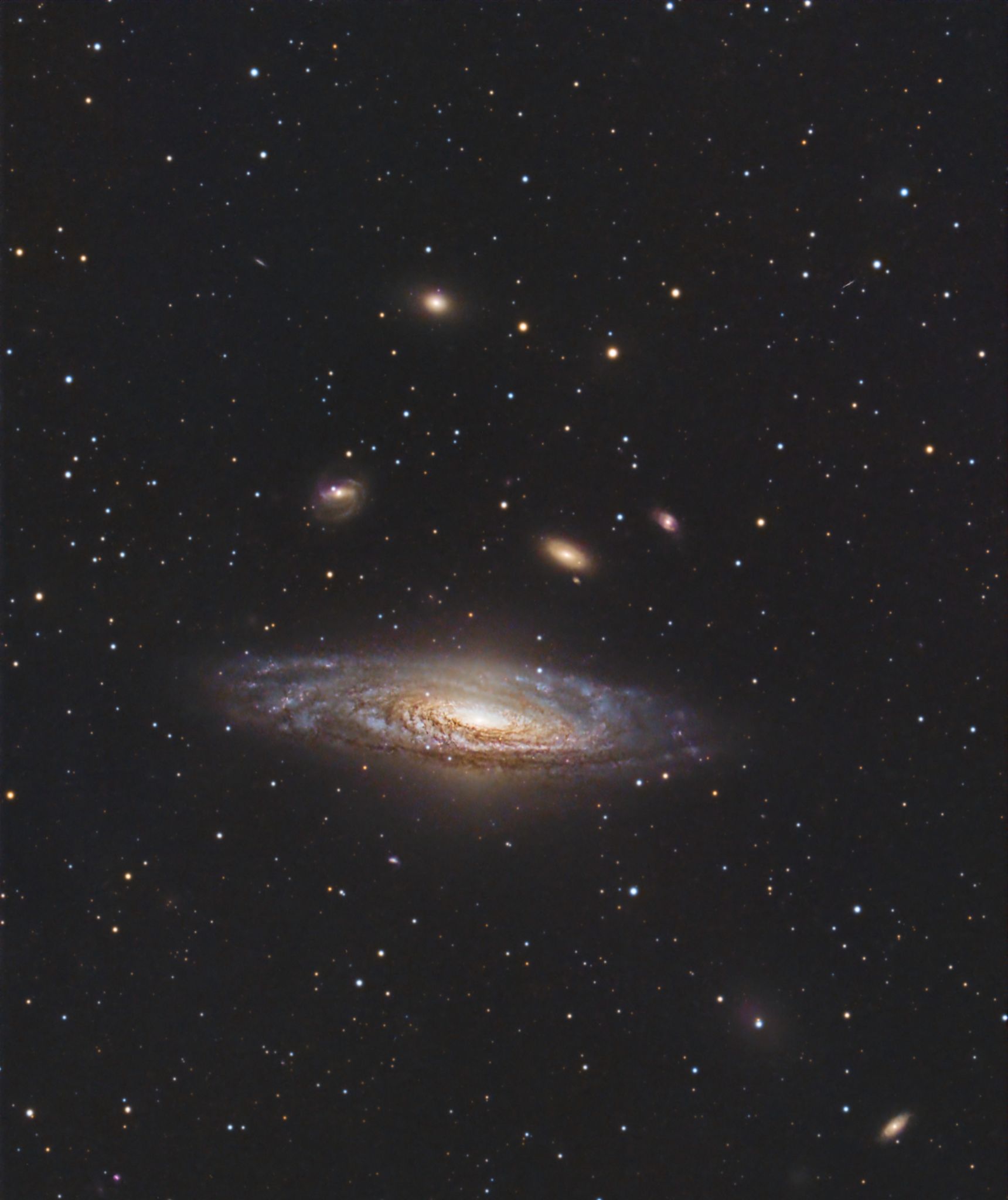 Community photo entitled NGC 7331, The Deerlick Group from the BMO by Ernest Jacobs on 10/07/2024 at North Java, NY USA