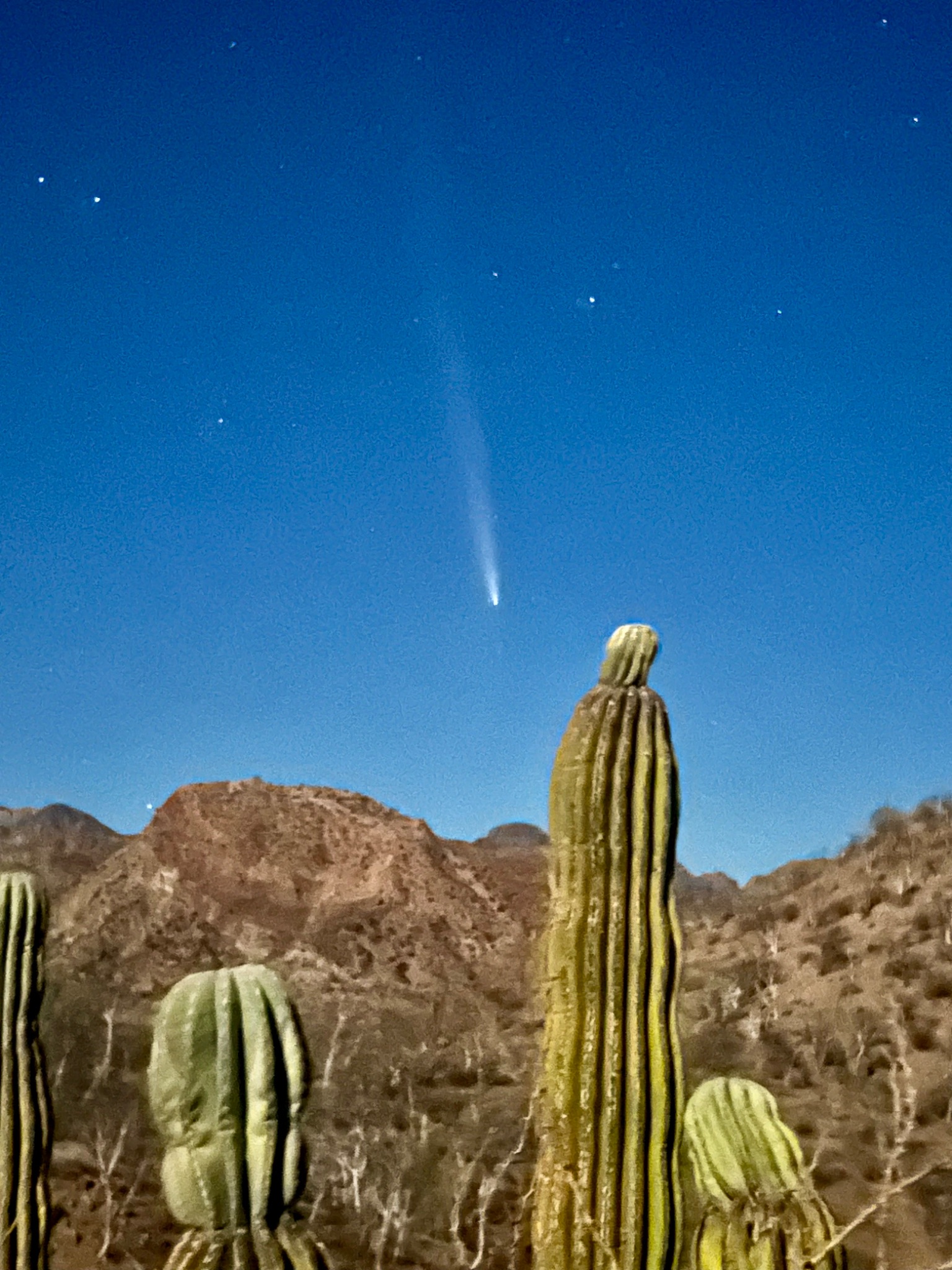 Community photo entitled Comet A-3 from the Baja desert. by GAIL GUNSTONE on 10/15/2024 at Loreto, Baja California Sur, Mexico