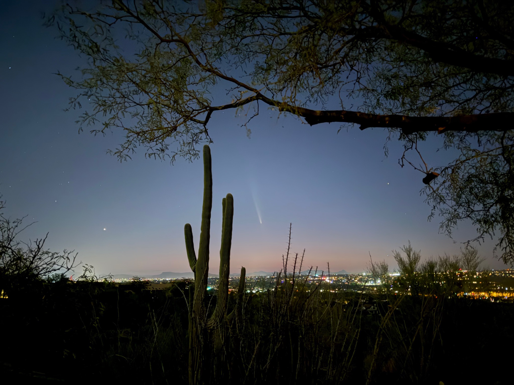 Community photo entitled Desert view of Comet C/2023 A3 Tsuchinshan-ATLAS by Dale Ann Petersen on 10/13/2024 at Oro Valley, Az