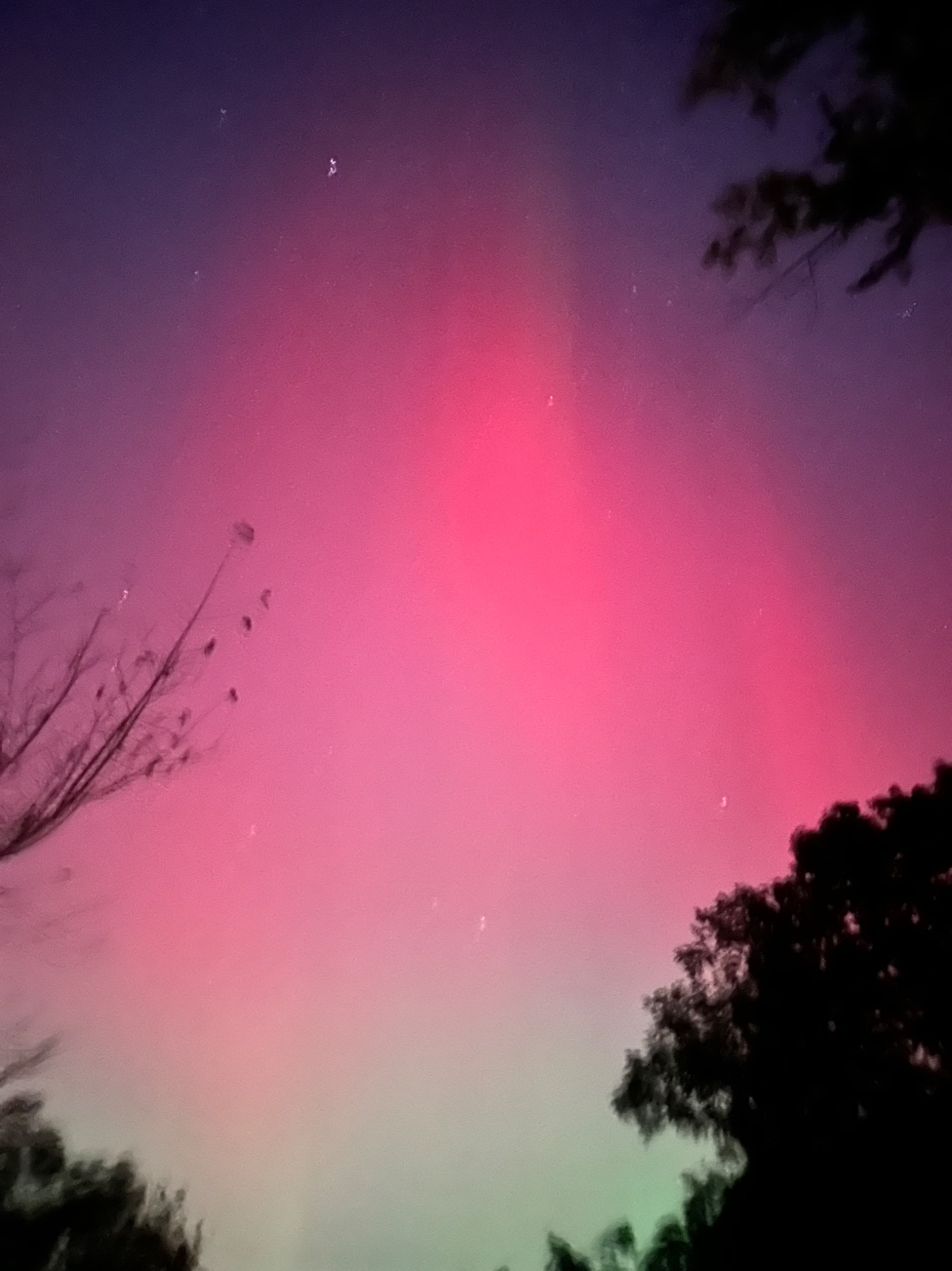 Community photo entitled Northern Lights in Pittsburgh! by Patricia Ireland on 10/10/2024 at Pittsburgh PA