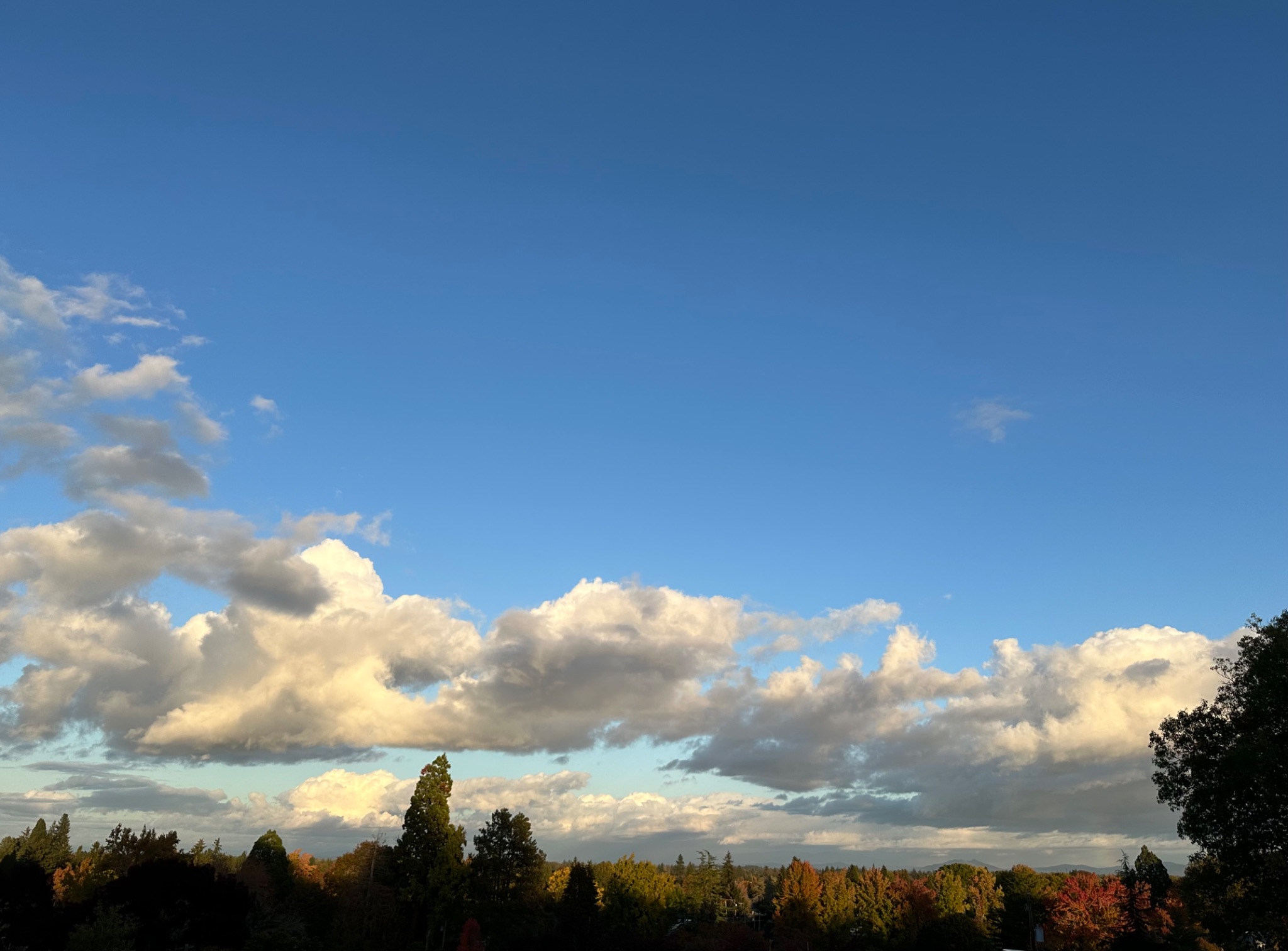 Community photo by Victoria