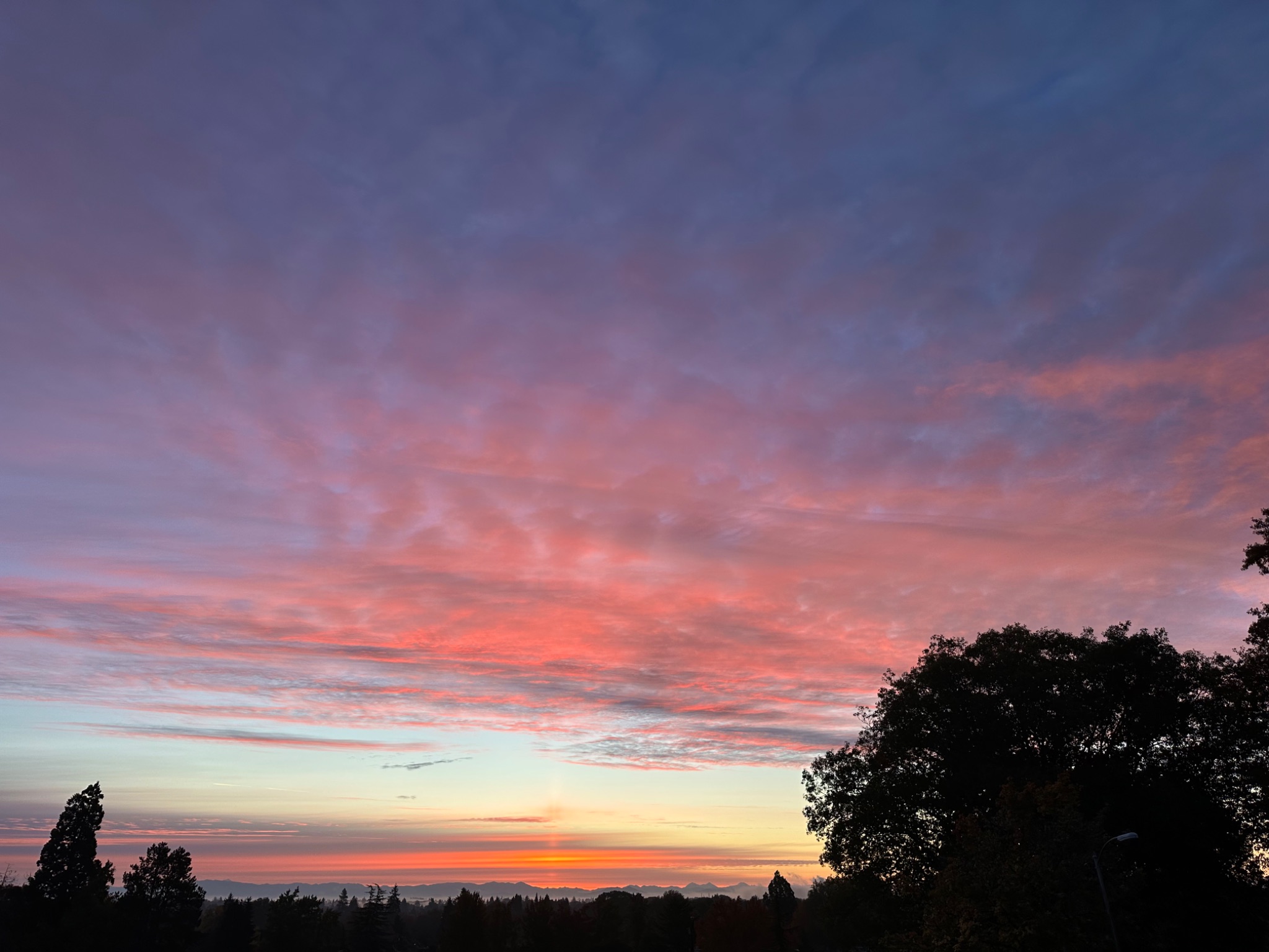 Community photo by Victoria