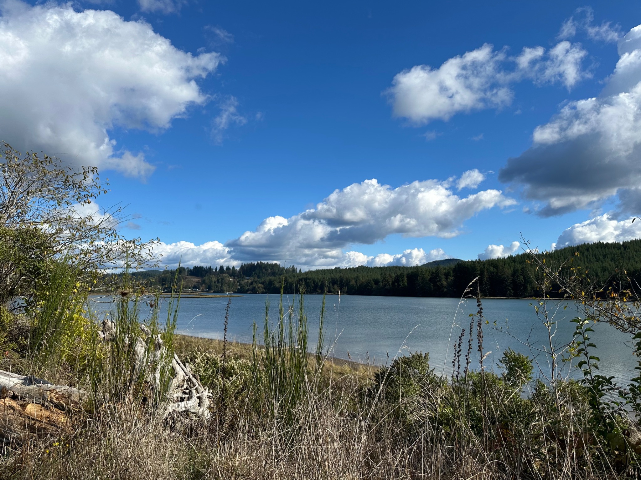 Community photo by Victoria