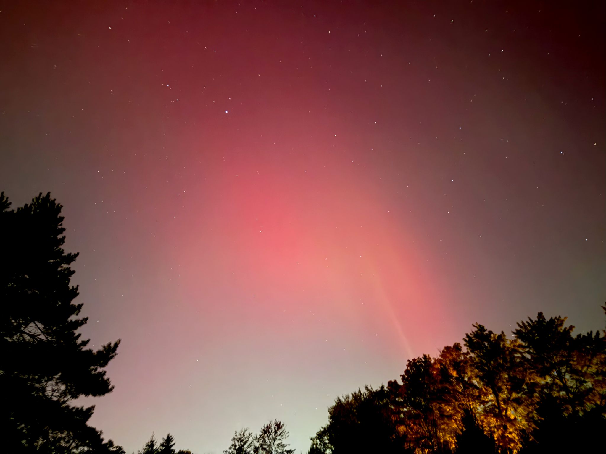 Community photo entitled Red Streaks and Reaching Trees by Eric Wilmot on 10/10/2024 at Aurora, OH