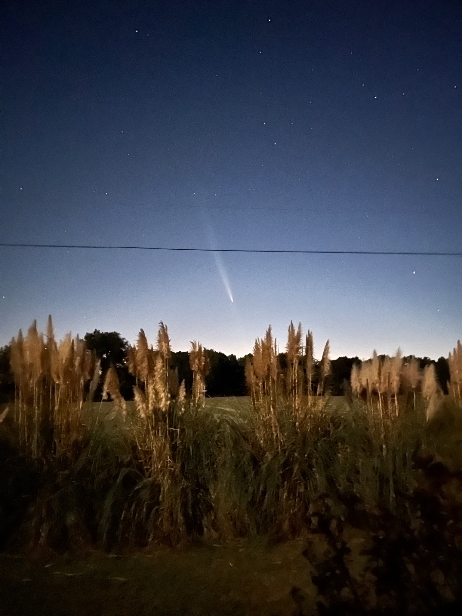 Community photo entitled Comet 10.14.24 Hobbsville NC by Mary Conklin on 10/14/2024 at Hobbsville, NC, USA