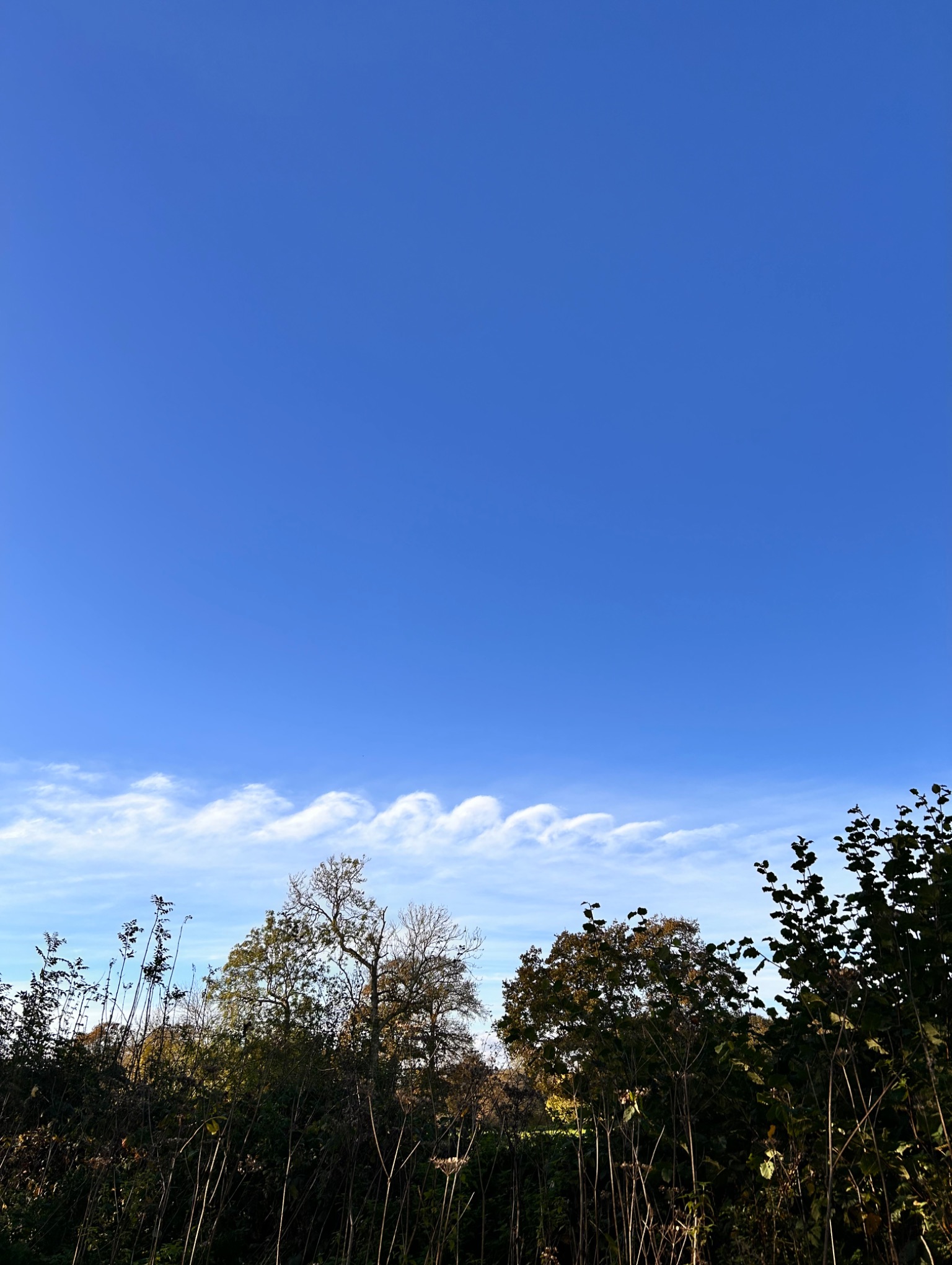 Community photo by Debs