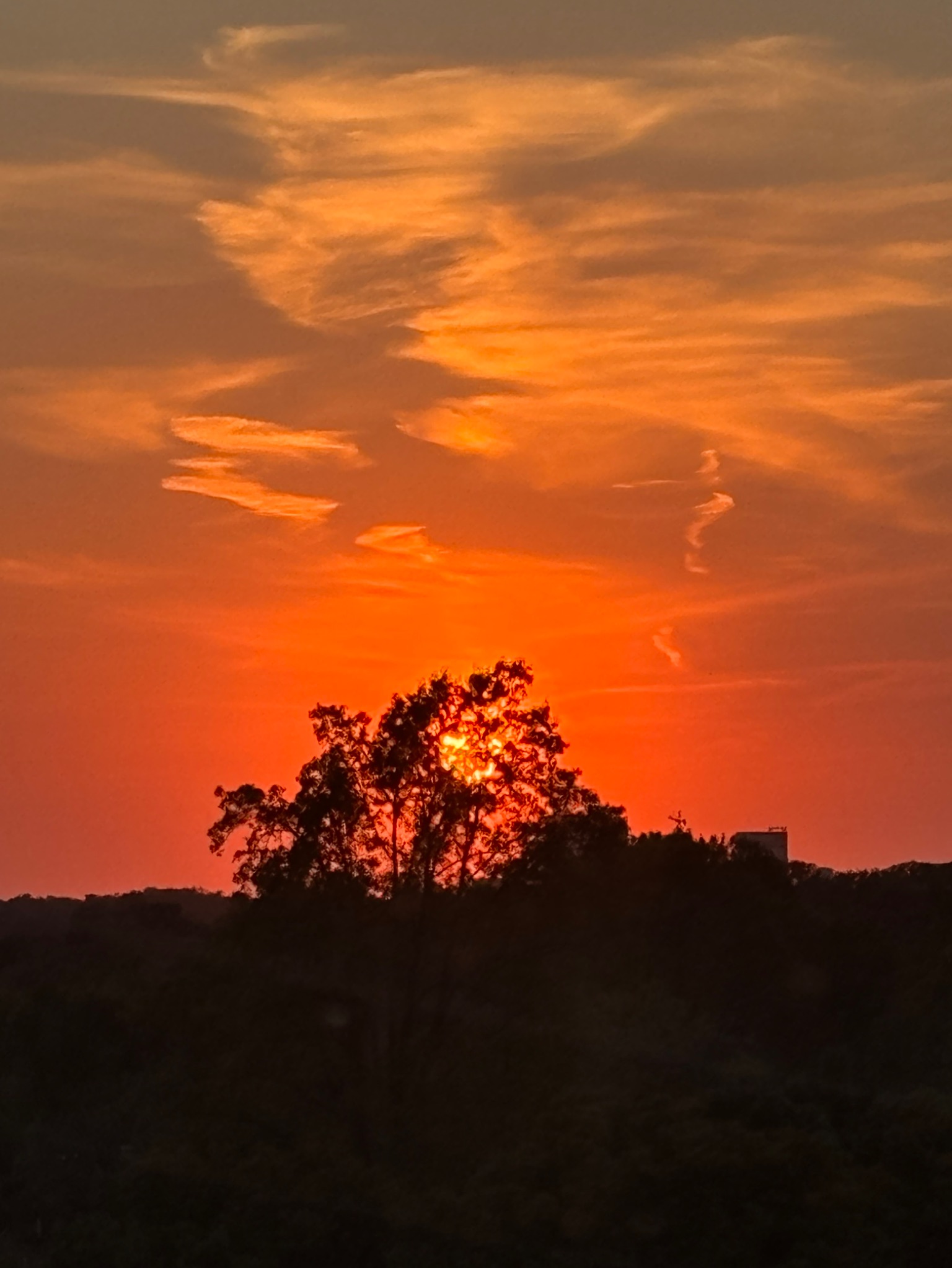 Community photo entitled Sun setting behind the trees by Deborah Rouse on 10/12/2024 at Silver Spring, MD