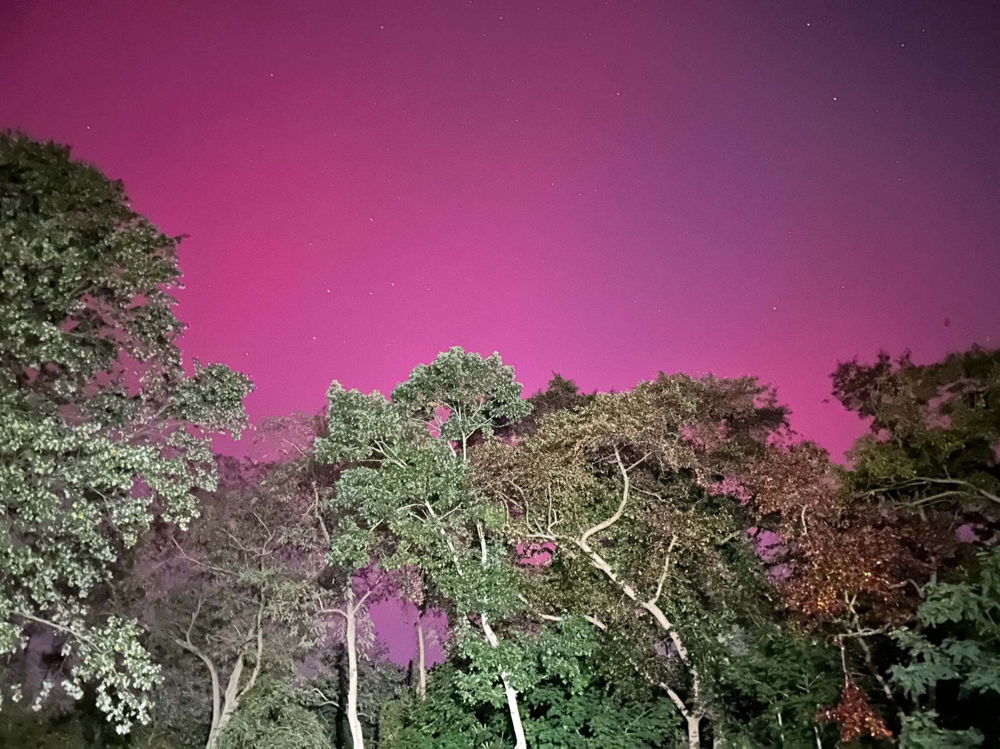 Community photo entitled Northern Lights over the eastern sky. by Pamela Solomon on 10/10/2024 at Islip, NY USA