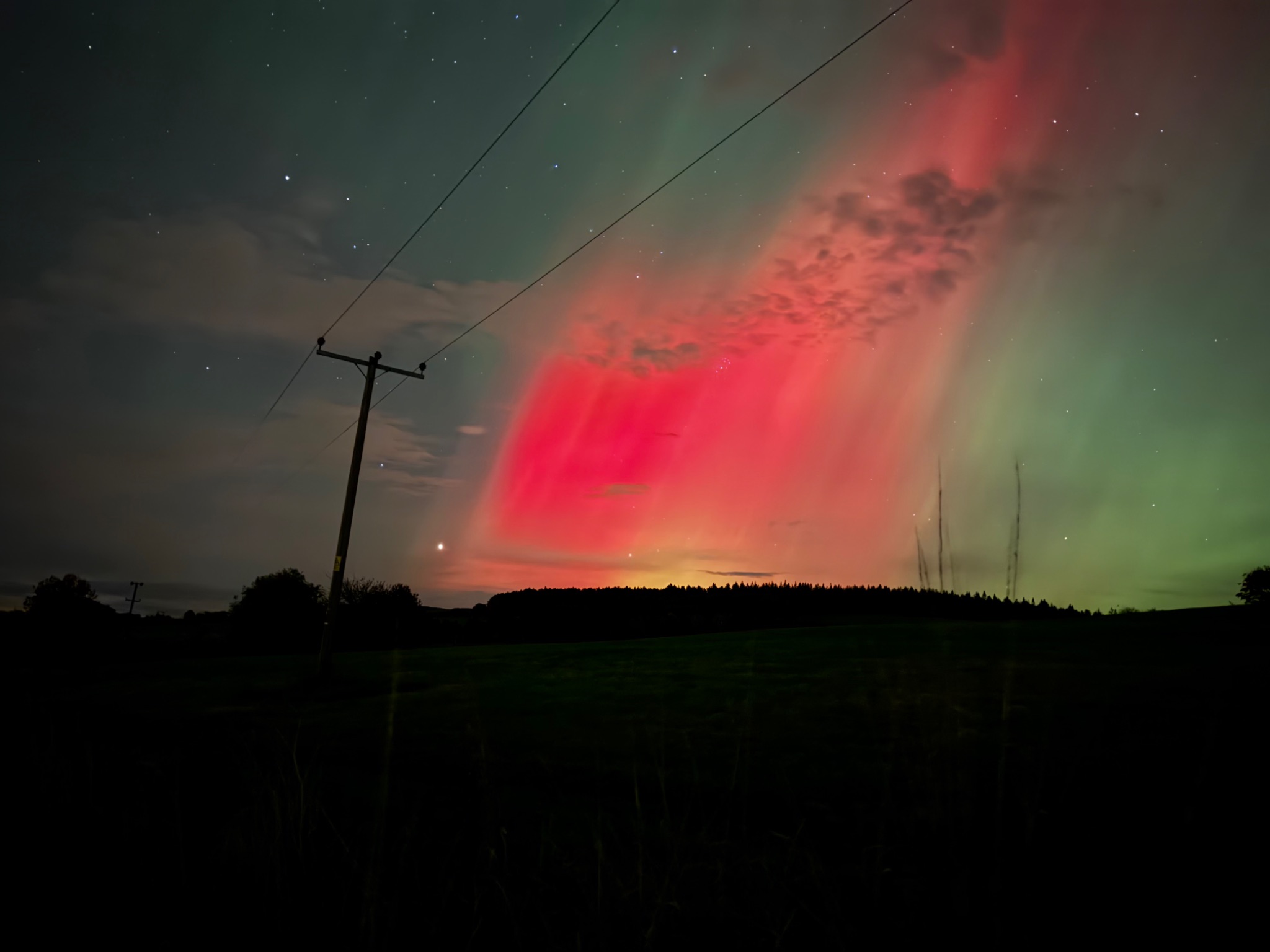 Community photo entitled Firey Wonder by Laura McGlashan on 10/10/2024 at Perth, Scotland