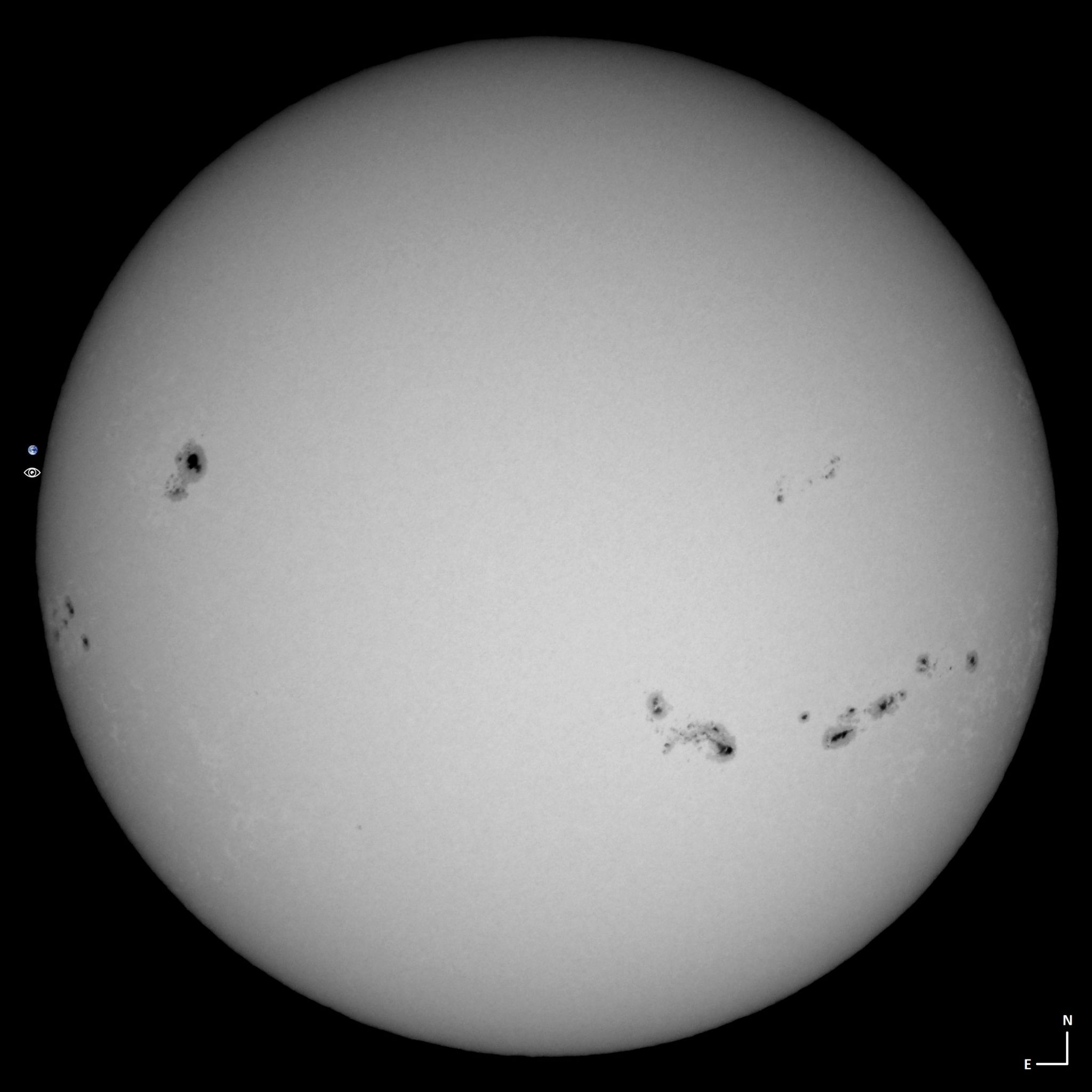 Community photo entitled sunspots forrest by Patricio Leon on 10/04/2024 at Santiago, Chile