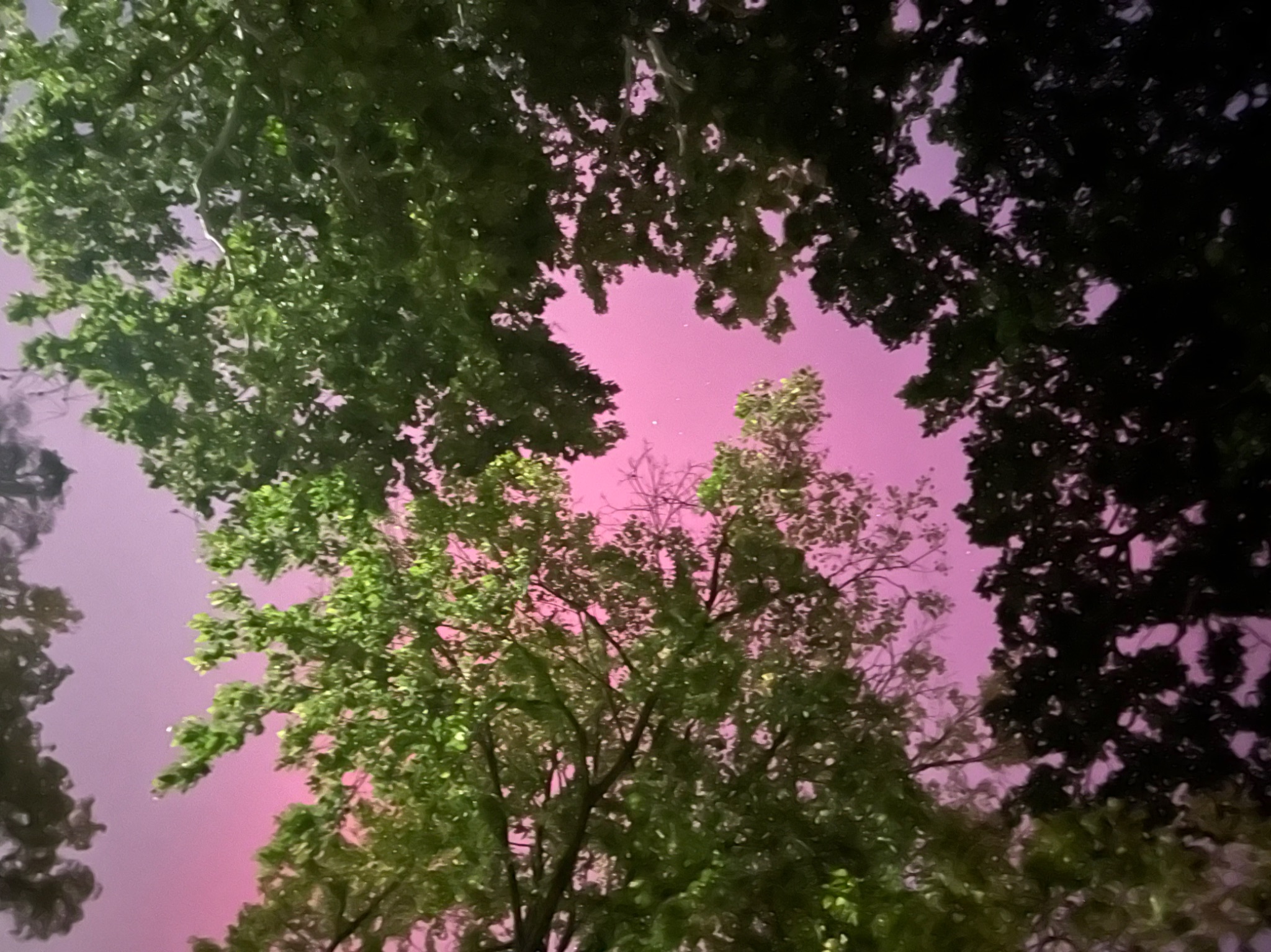 Community photo entitled Pink sky by Donna Wiedmann on 10/11/2024 at Des Moines Iowa