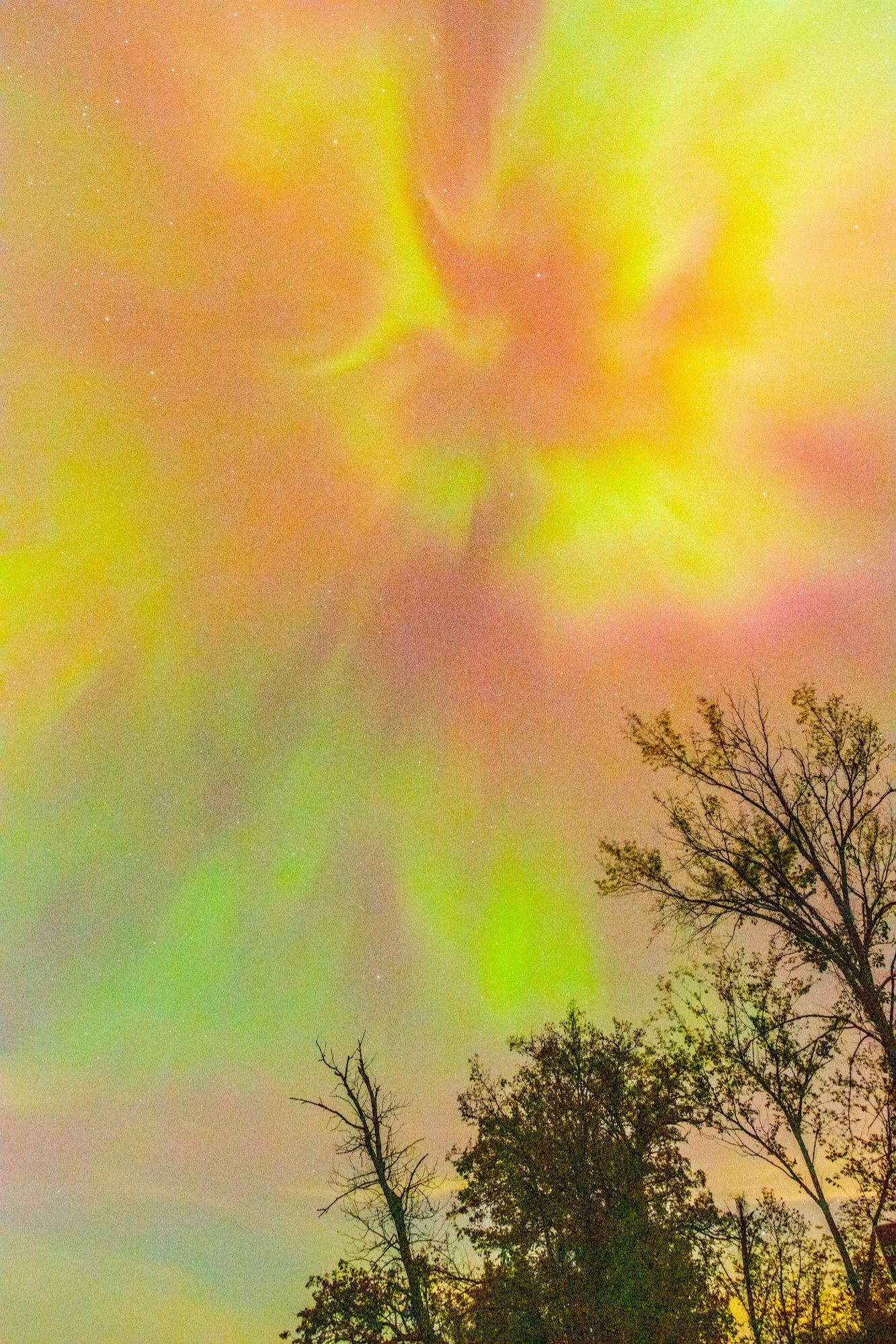 Community photo entitled Aurora '24 815 by Michael Shoop on 10/10/2024 at Wild River State Park, MN