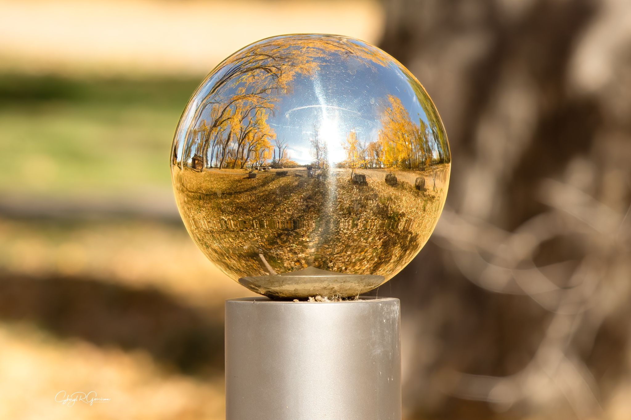 Community photo entitled "Neptune" on a Fall Day by Sheryl R Garrison on 10/14/2024 at Lethbridge, AB Canada