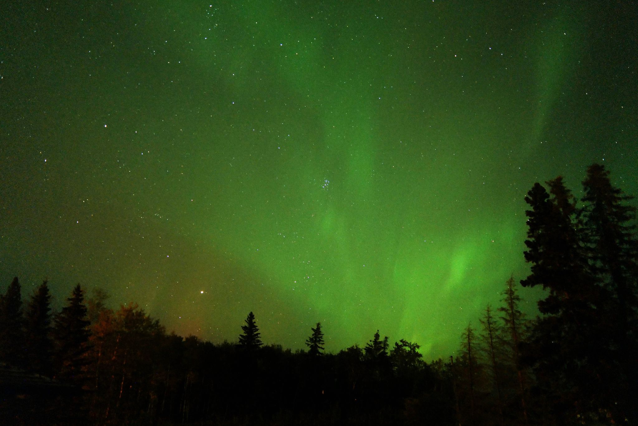 Community photo entitled Watching from the front porch. by Elmarie van Rooyen on 10/06/2024 at Smoky Lake, Alberta, Canada