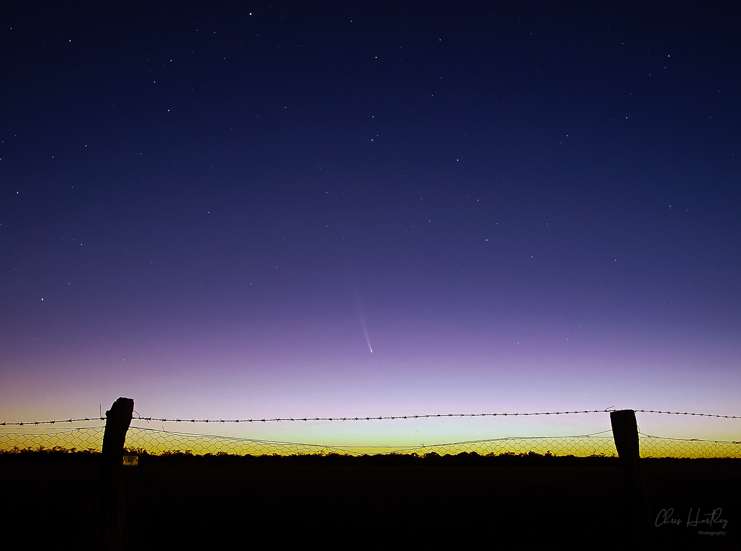 Community photo entitled The early morning visitor. by Christopher Hartley on 10/01/2024 at Cunnamulla, Queensland, Australia