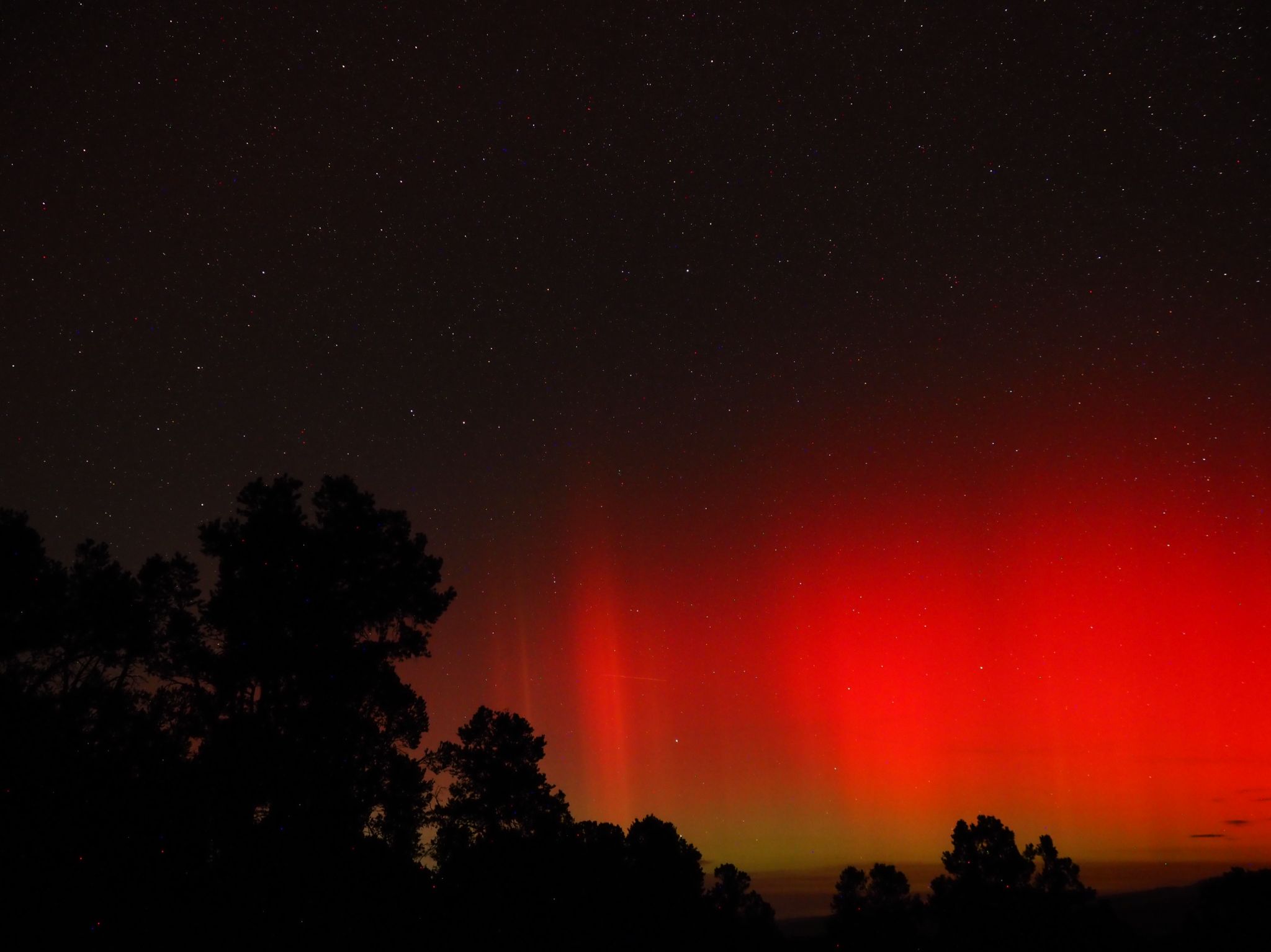 Community photo by John Straus | Ridgway, CO