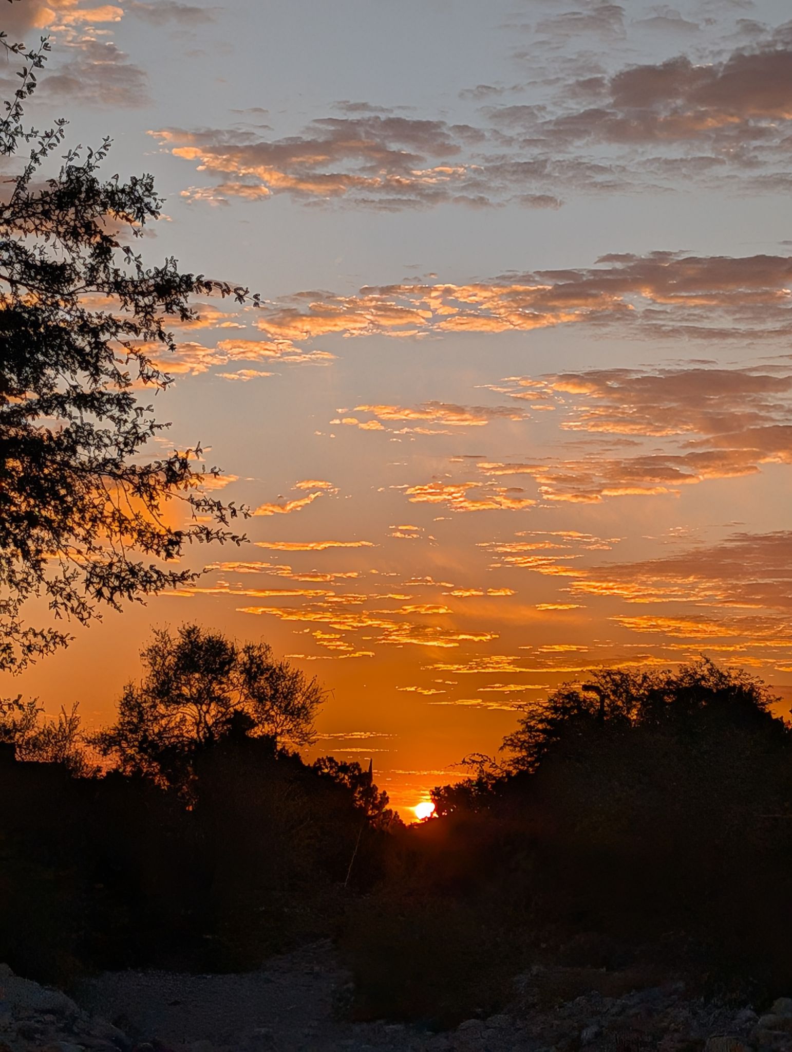 Community photo entitled Sunrise Clouds by Craig A Ruark on 10/05/2024 at Las Vegas, Nevada