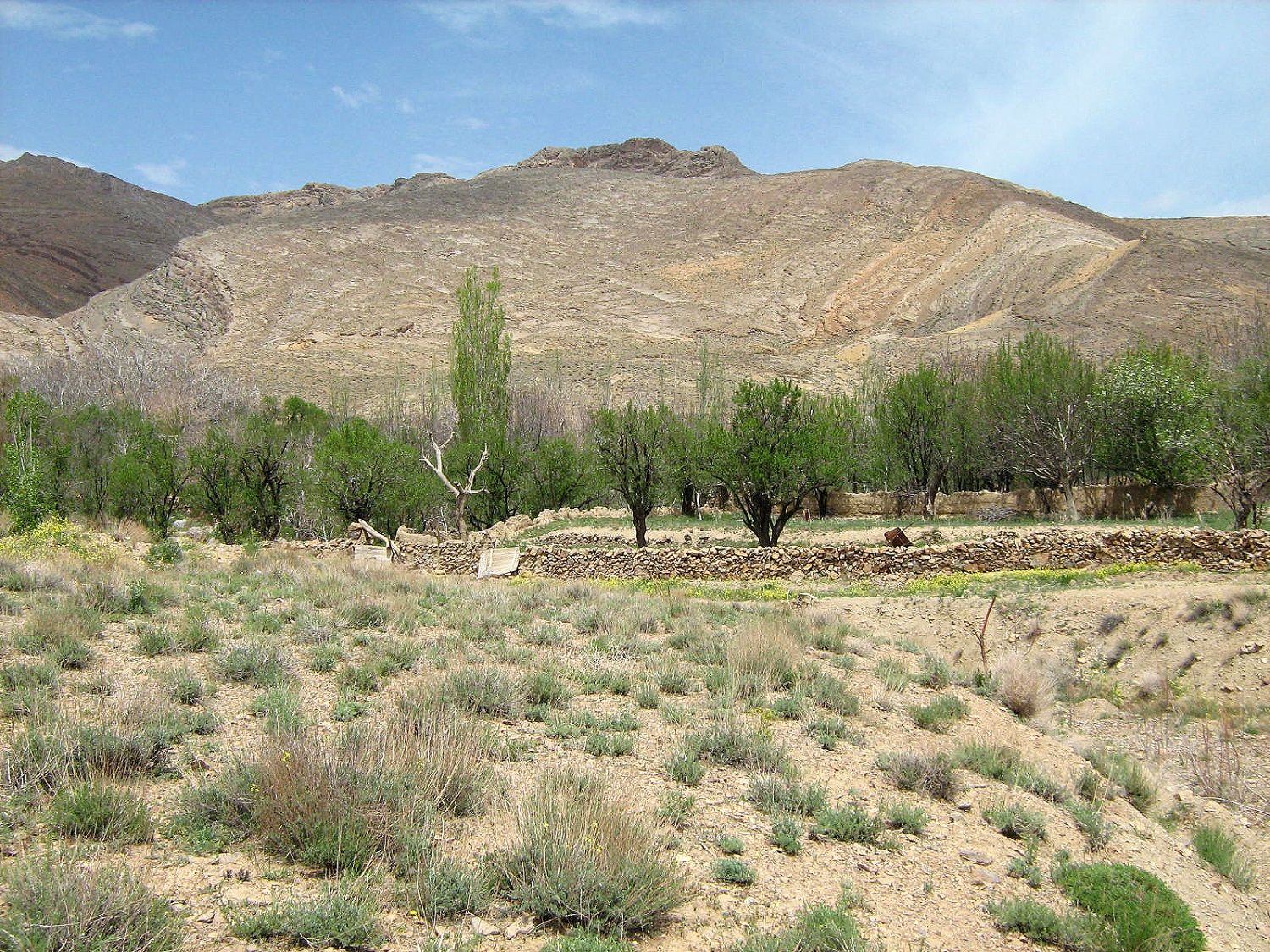 Community photo entitled  by Hassan Dadashi . Arani on 10/07/2024 at Esfahan province. Iran