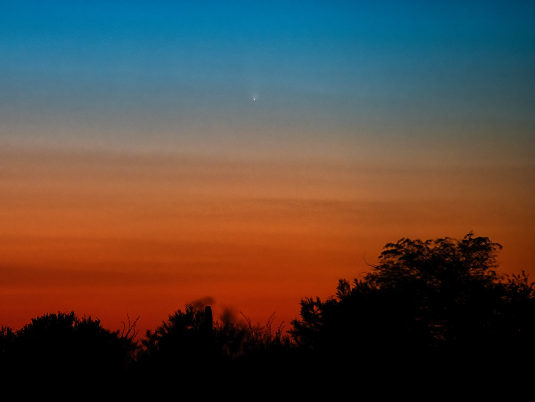 Community photo entitled Comet 2023 A3 in fading light by Eliot Herman on 10/10/2024 at Tucson AZ