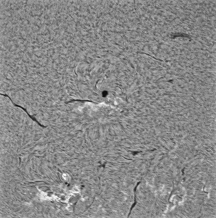 Community photo entitled Huge Sunspot by Jim Militello on 10/09/2024 at Tucson, Arizona  USA