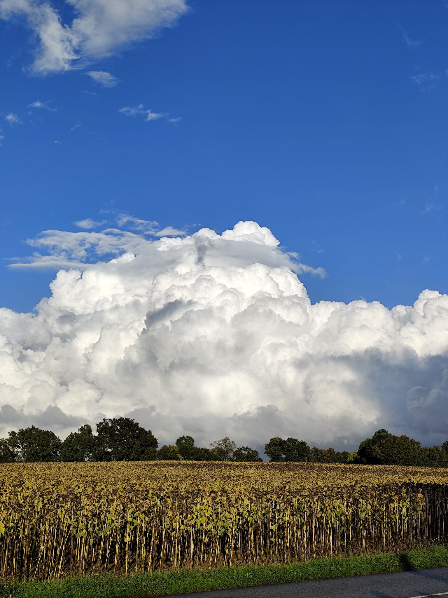 Community photo entitled Sunday Clouds by Pamela Smith on 10/06/2024 at Deux Sevres France