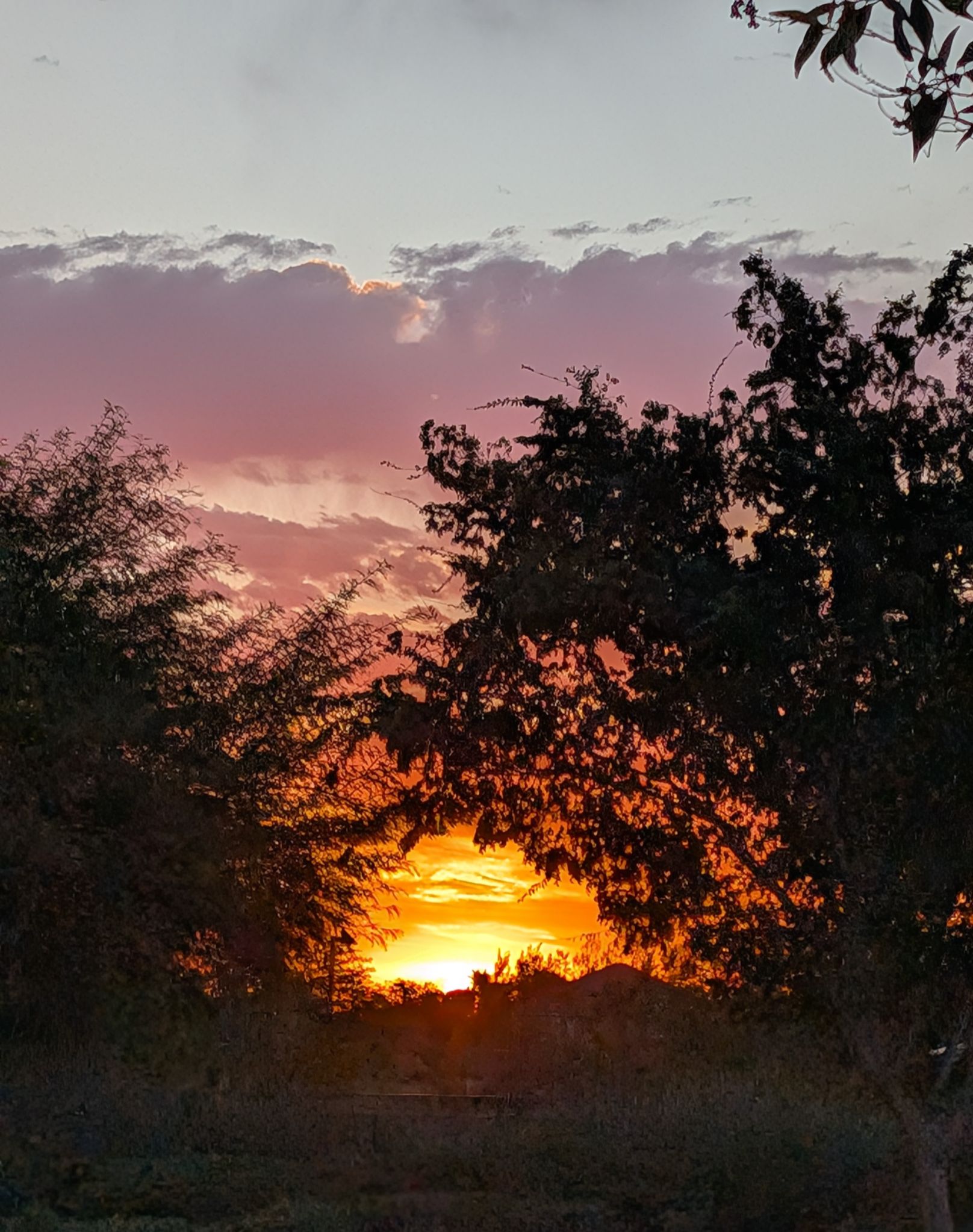 Community photo entitled Sun Glow by Craig A Ruark on 10/08/2024 at Las Vegas, Nevada