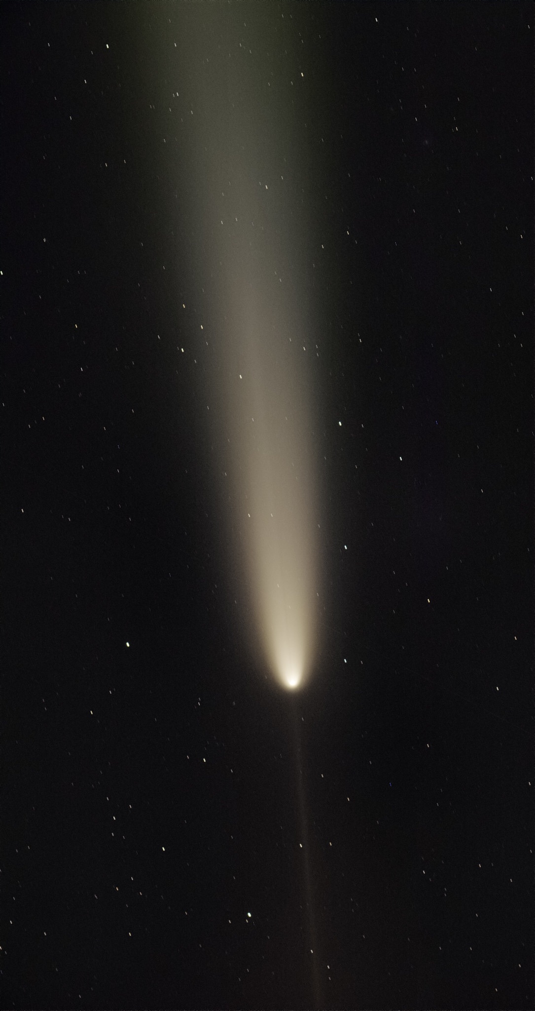 Community photo entitled Comet 2023 A3 and anti-tail by Eliot Herman on 10/14/2024 at Tucson  AZ