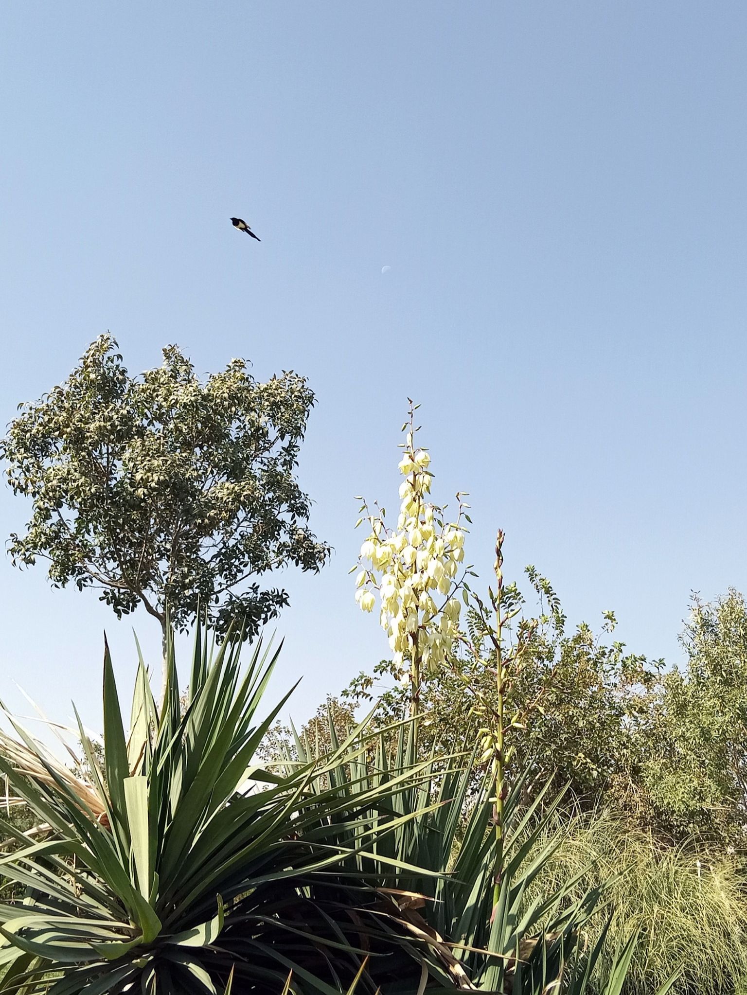 Community photo by Hassan