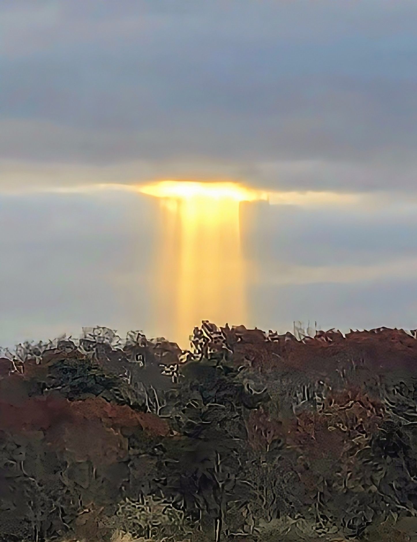 Community photo by Candi Marie