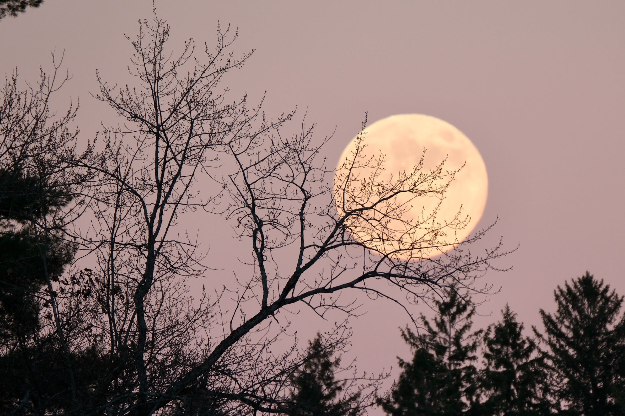 Community photo by Nancy Stewart | Cazenovia, NY, USA