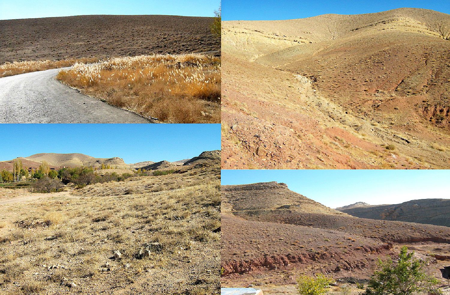 Community photo by Hassan