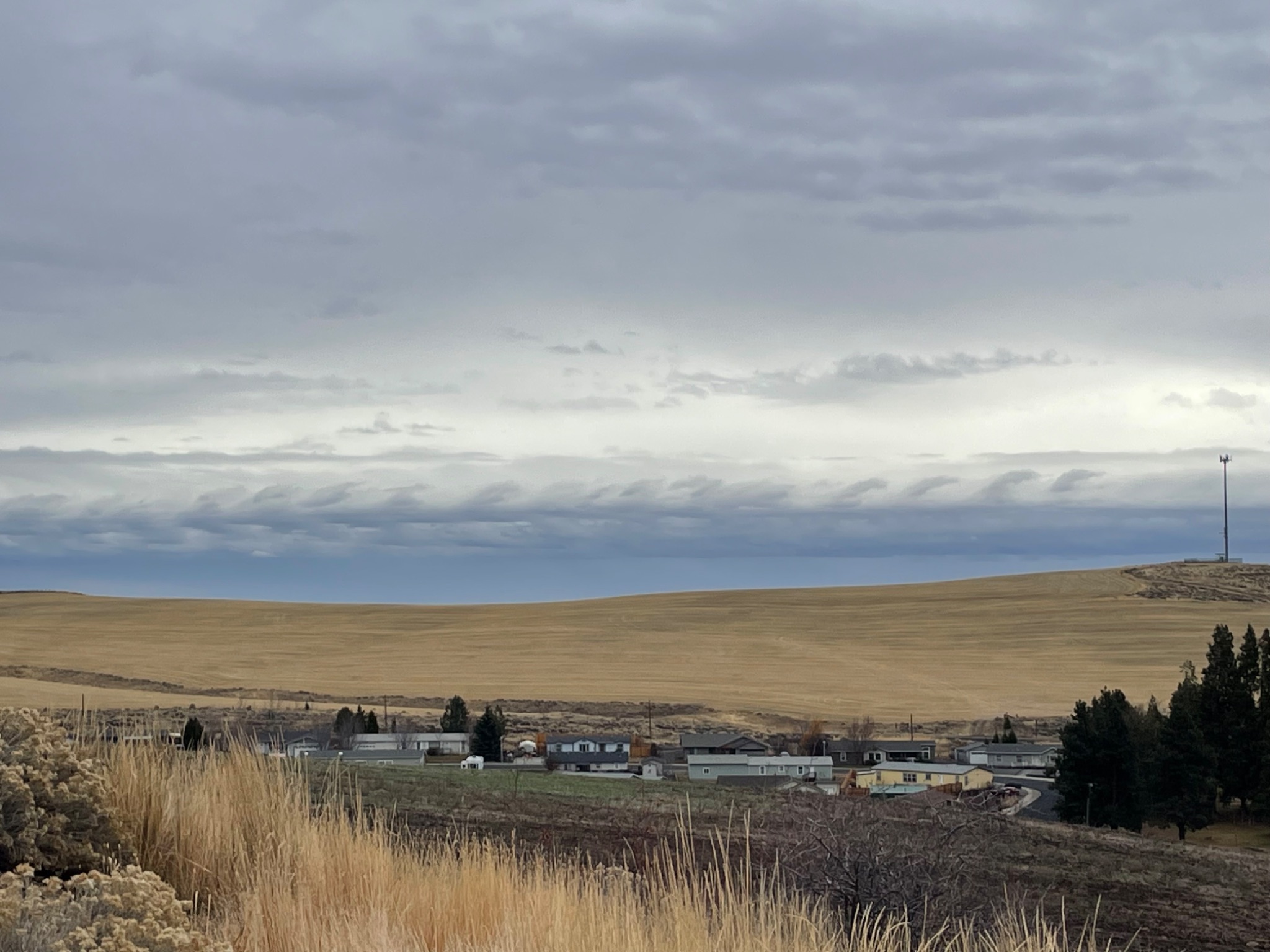 Community photo by Alexis