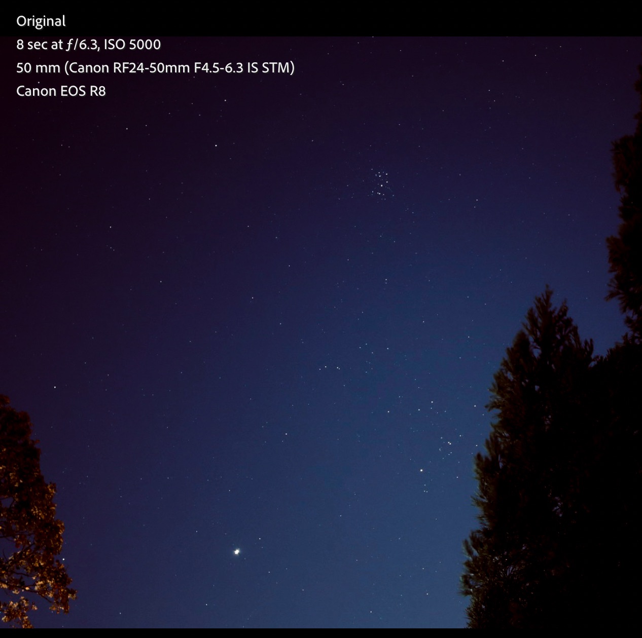 Community photo by john