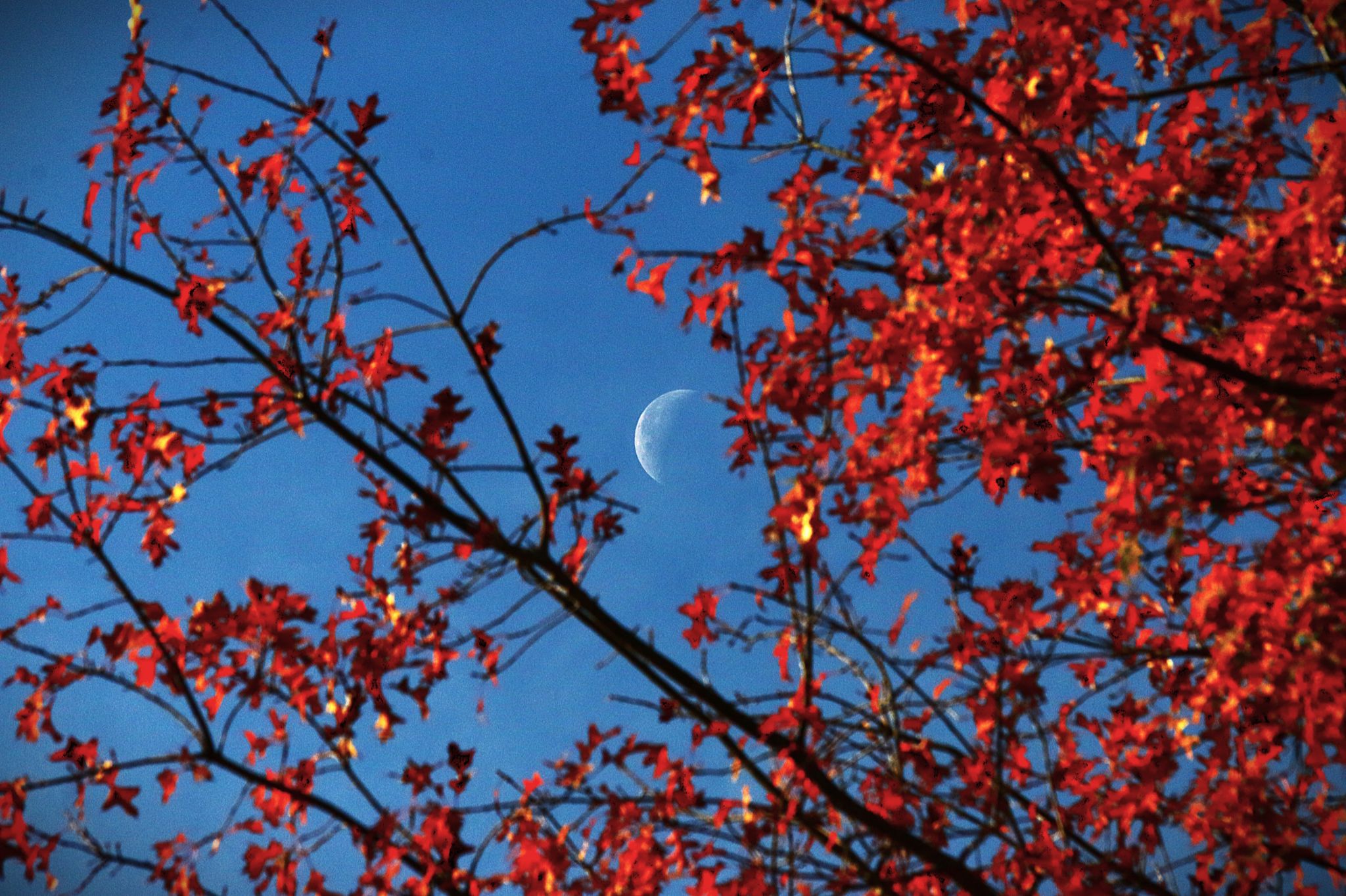 Community photo by Bill