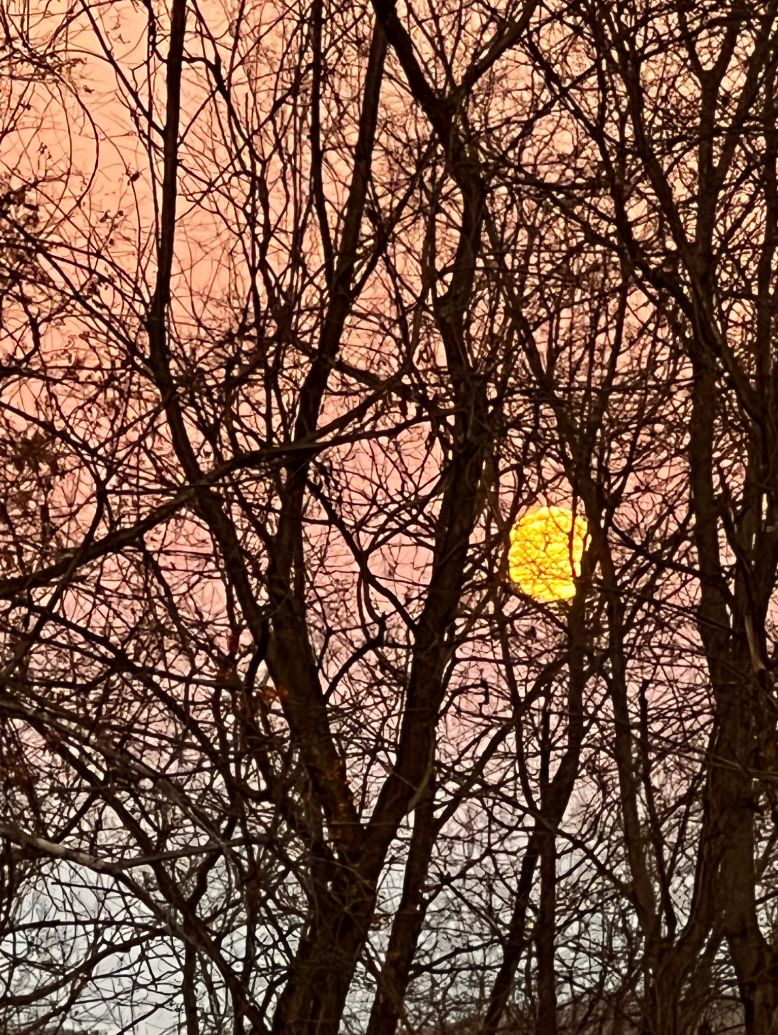 Community photo by Sudhir