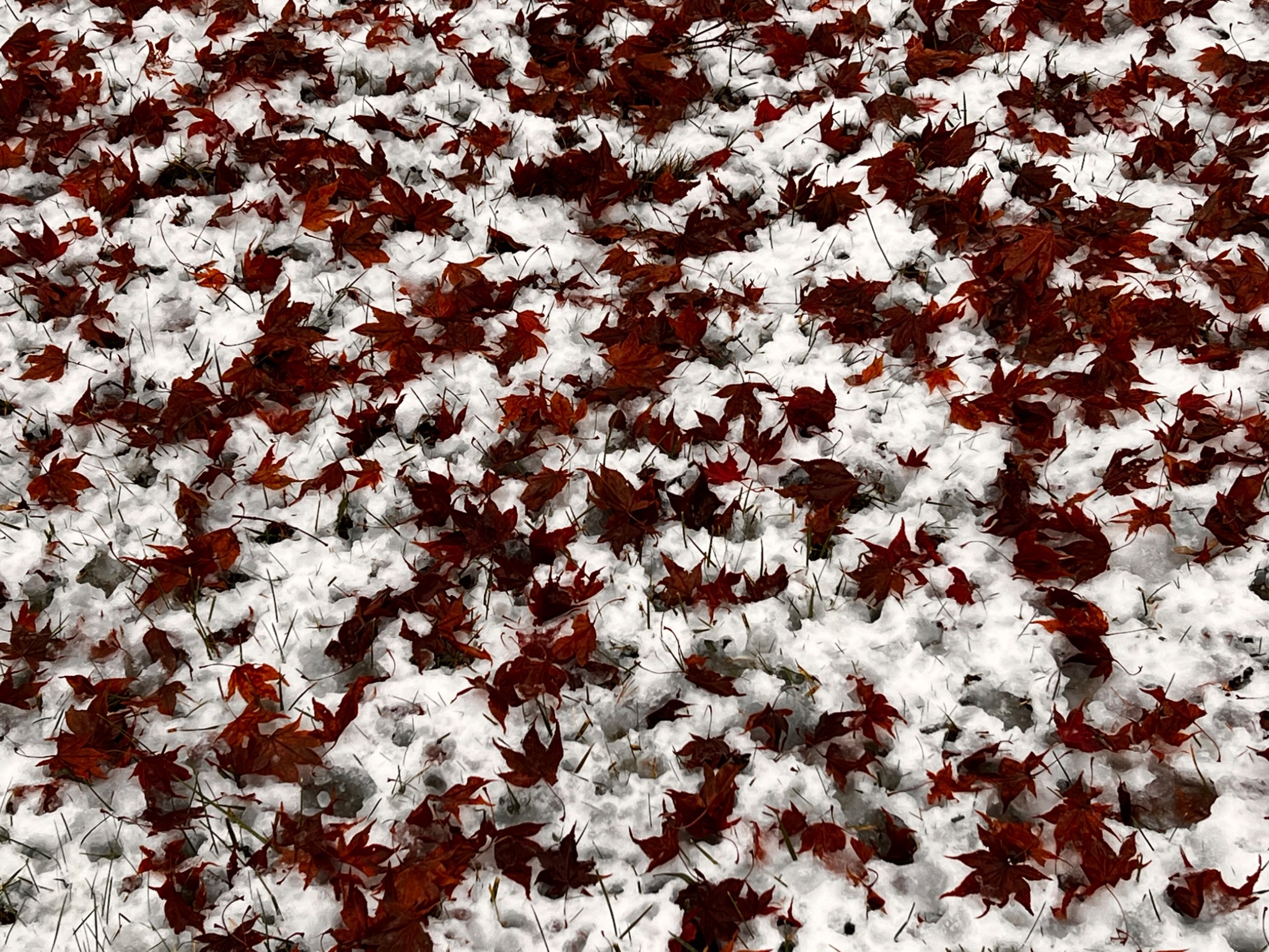 Community photo by Sudhir