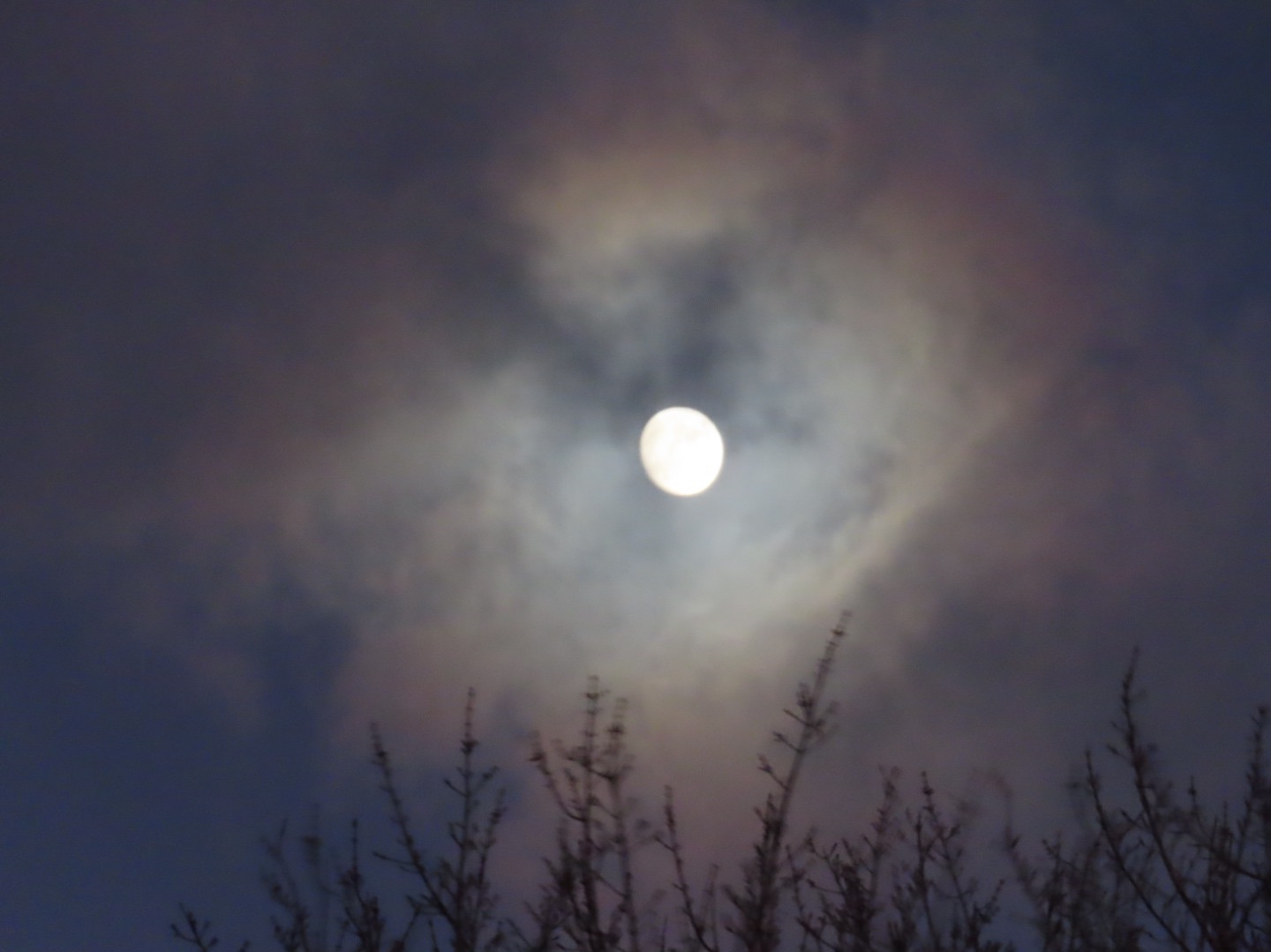 Community photo by Barry Johnson | Halifax, NS Canada