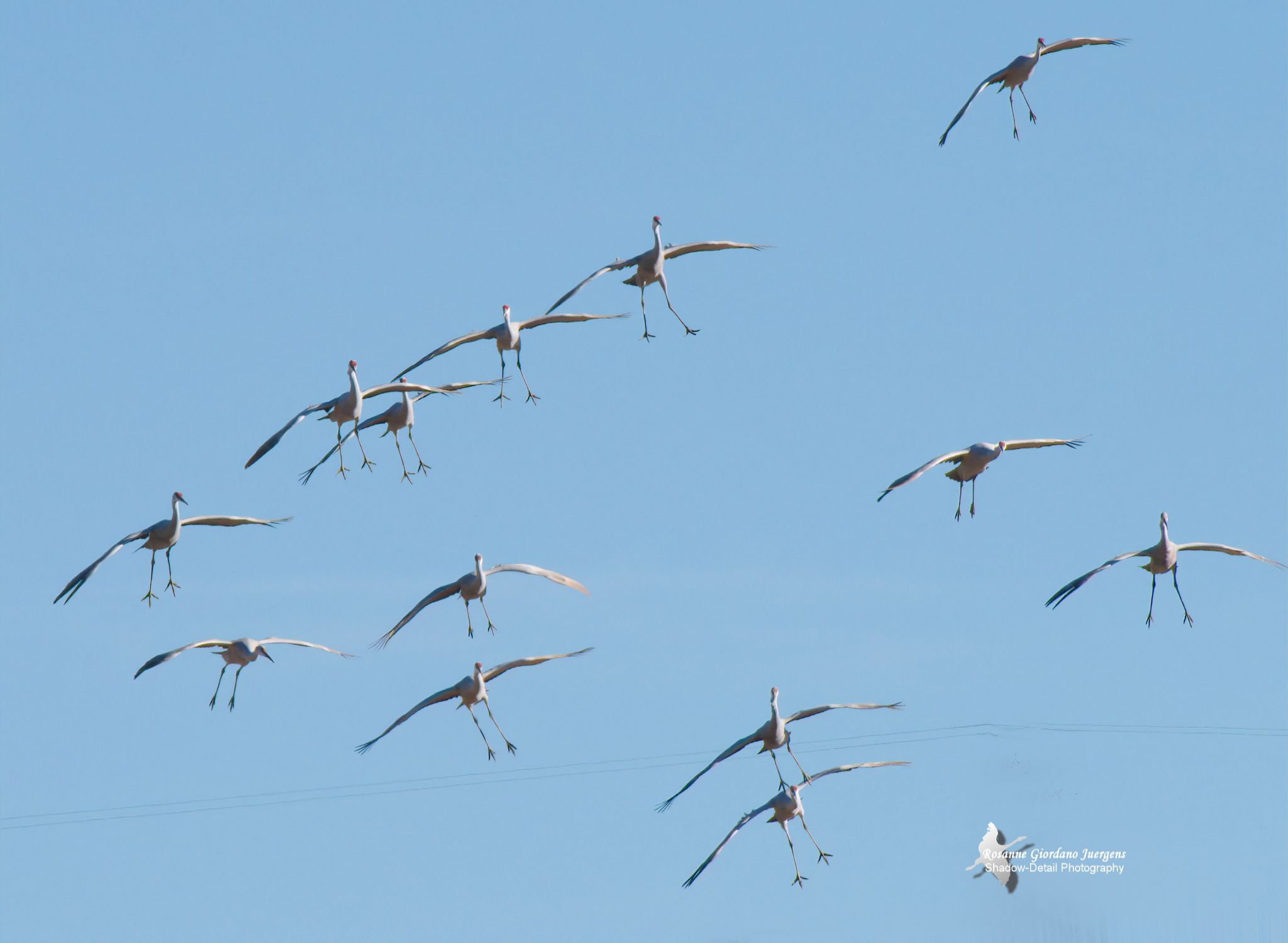 Community photo by Rosanne Juergens | Douglas County, Colorado